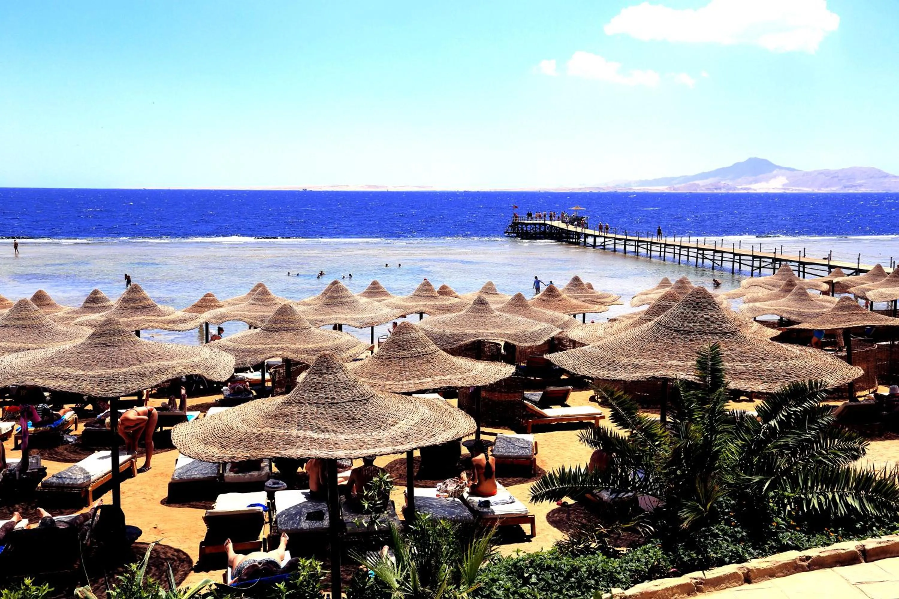 Beach in Rehana Royal Beach Resort - Aquapark & Spa - Family & Couples Only - Premium Ultra All-Inclusive 24H
