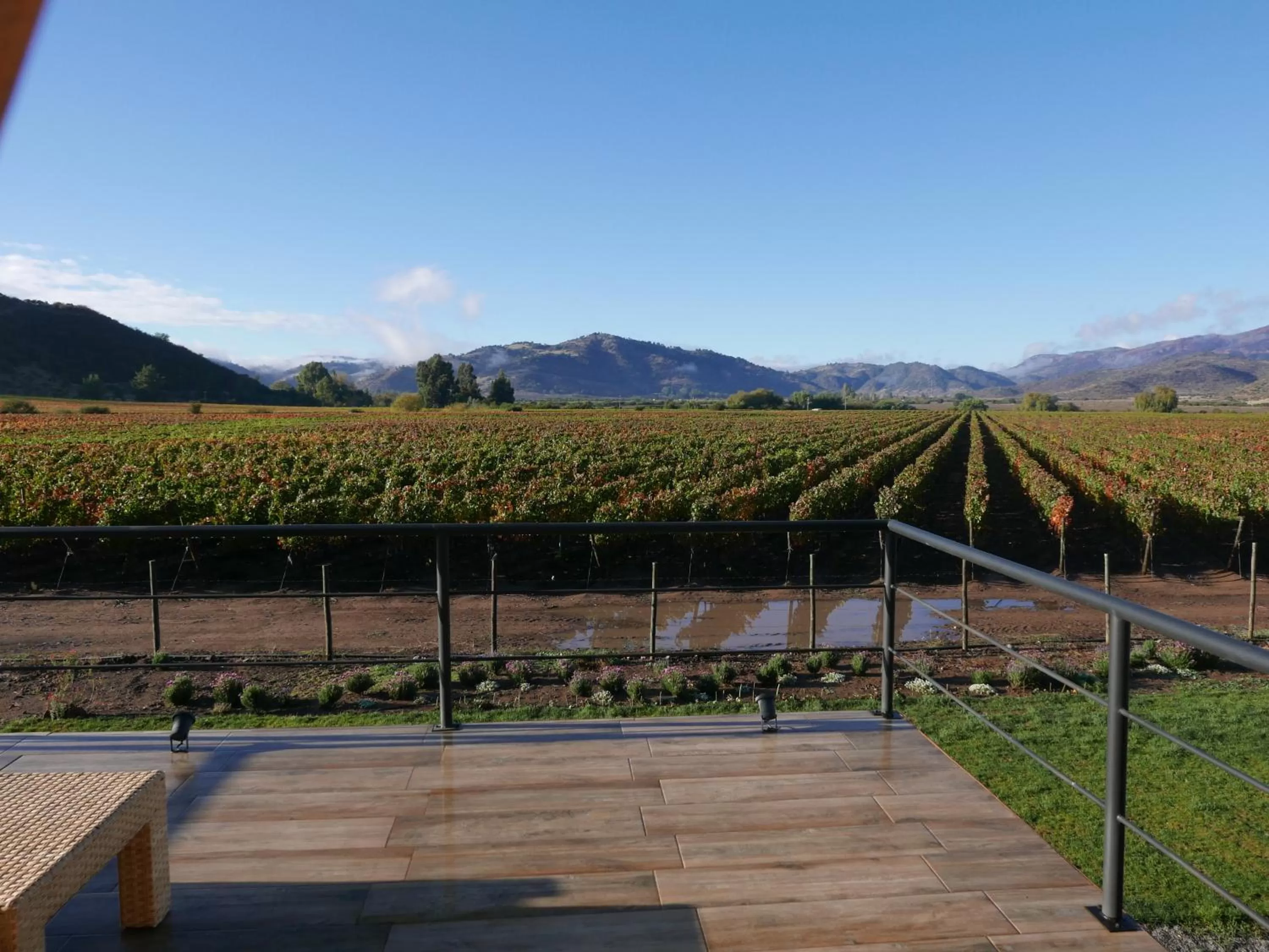 Balcony/Terrace in Callihue Lodge