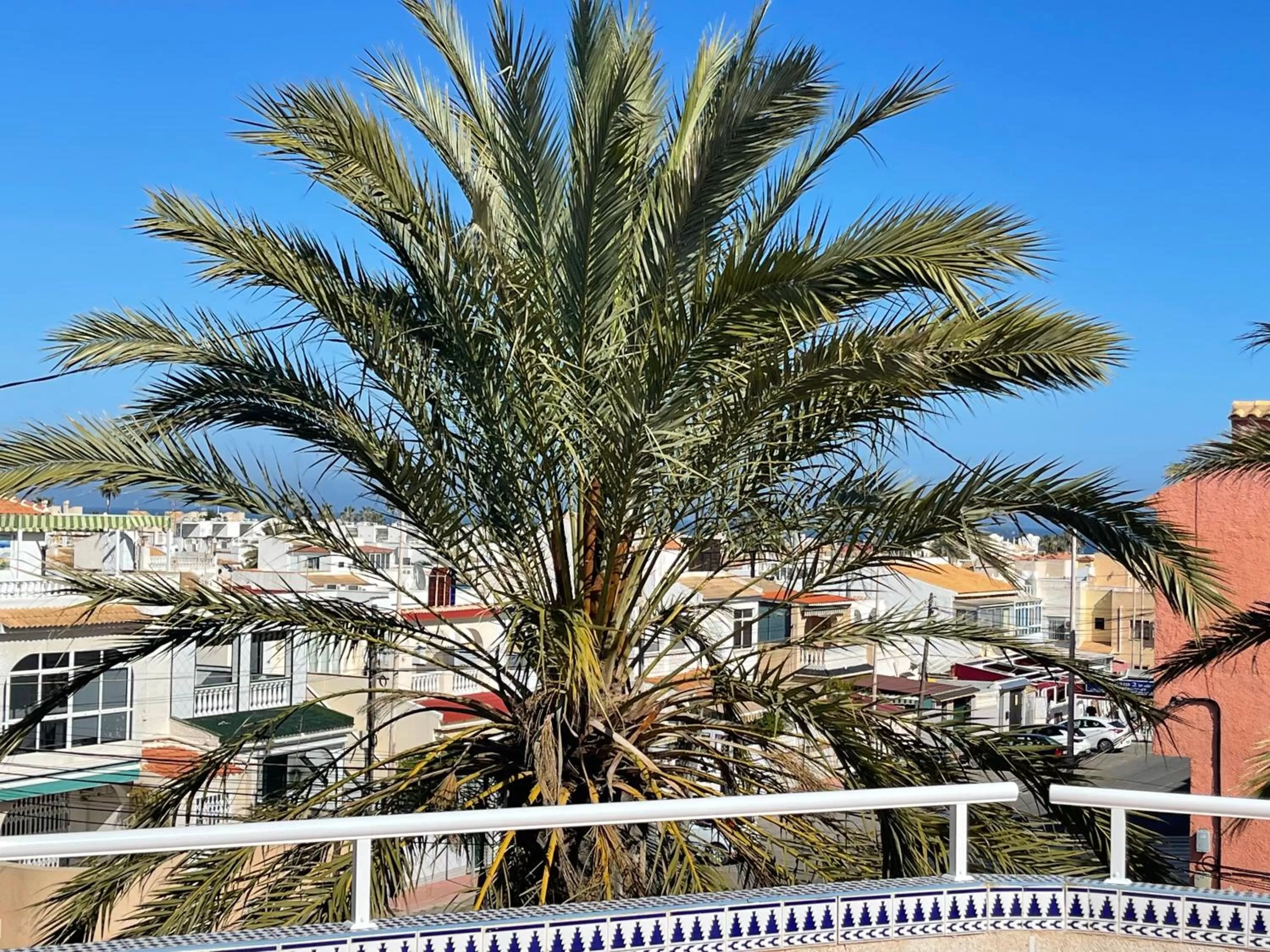 View (from property/room) in Anna's garden