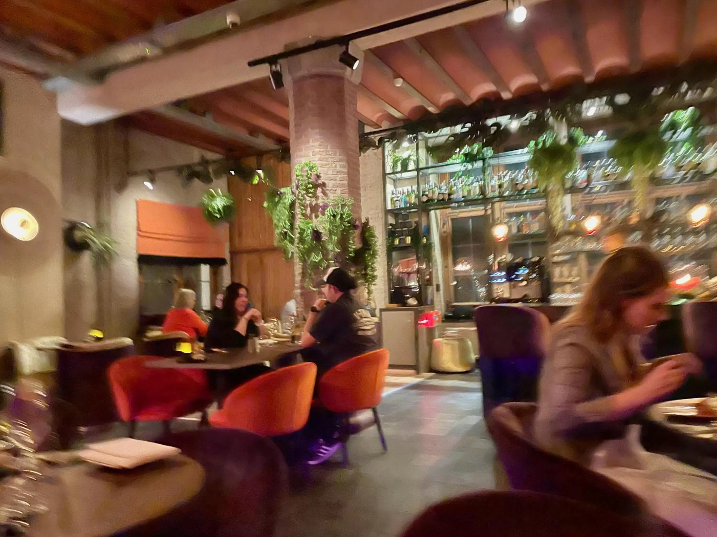 Restaurant/places to eat in Boutique Hotel The Roosevelt