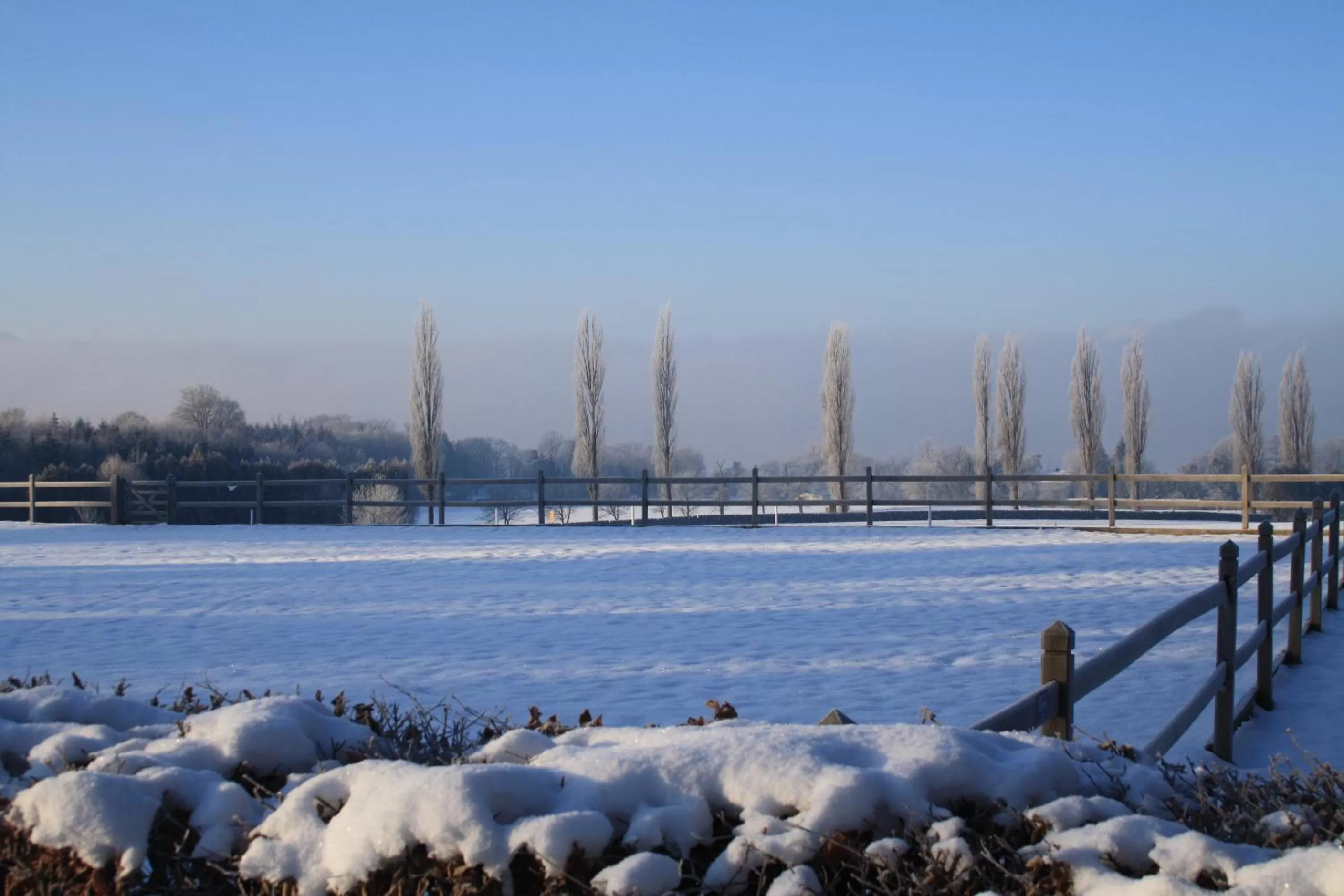 Lake view in Hotel Gut Ising