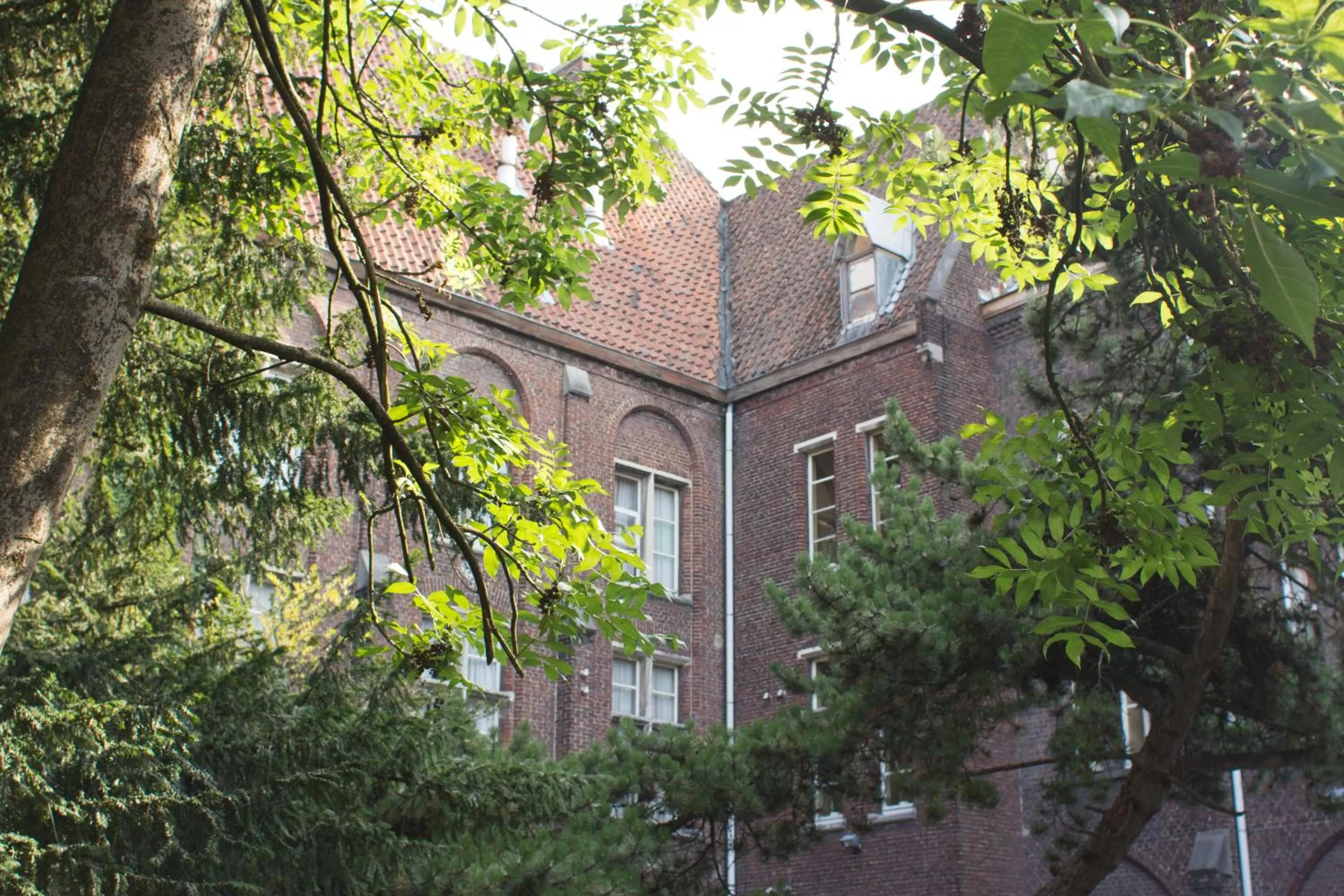 Garden view in Guesthouse PoortAckere Ghent