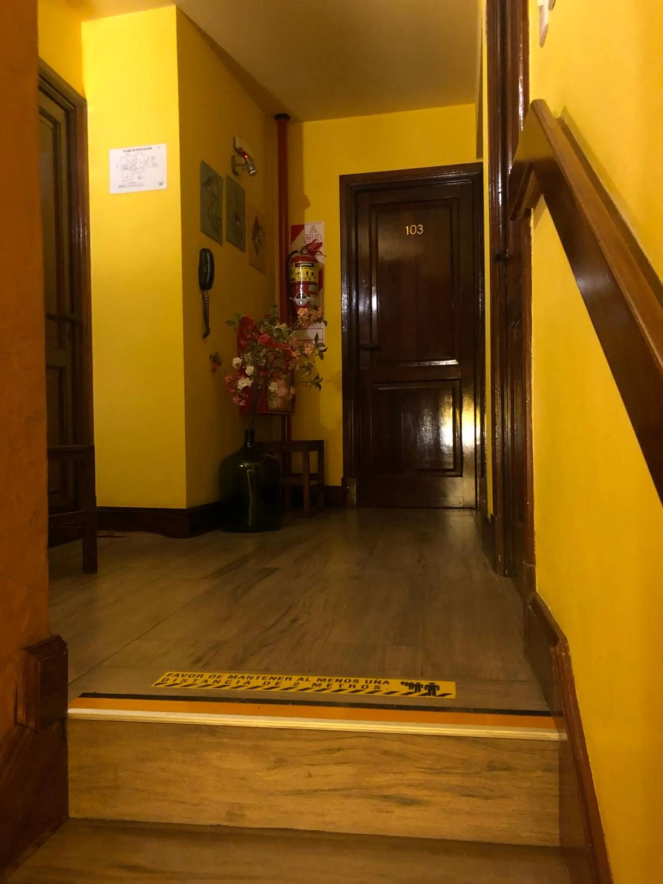 Area and facilities in Sissi Haz Hotel