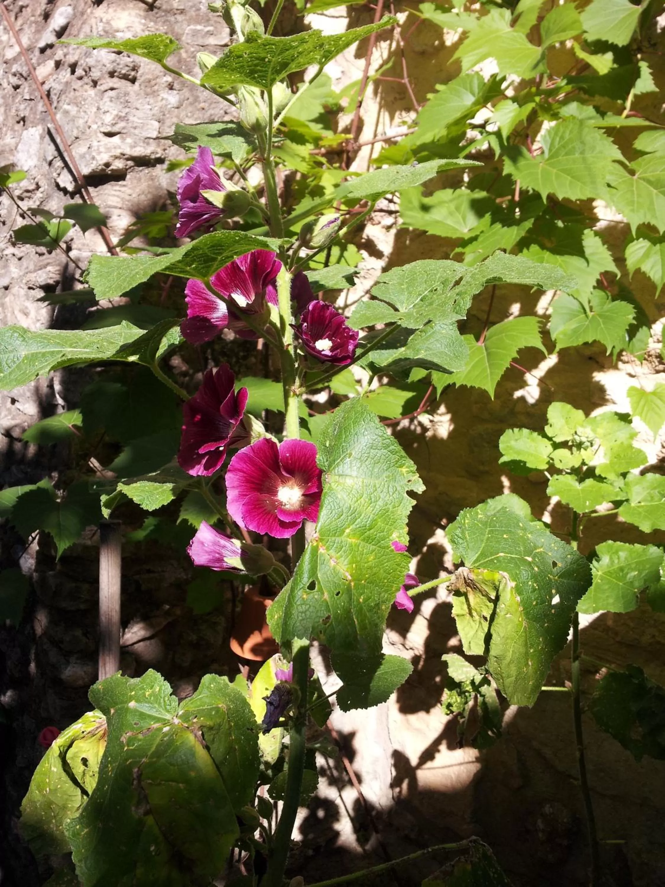 View (from property/room) in Chambres d'Hôtes Aux Tournesols