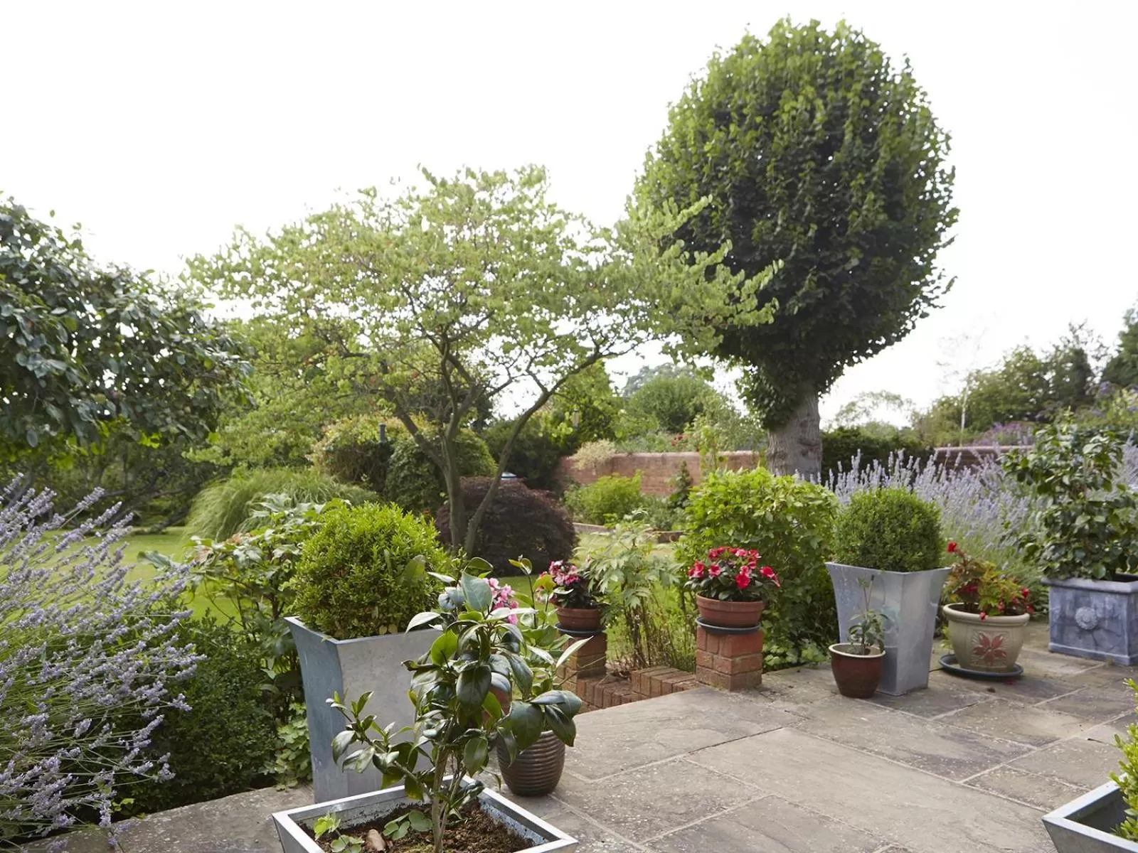 Other in Somerville House