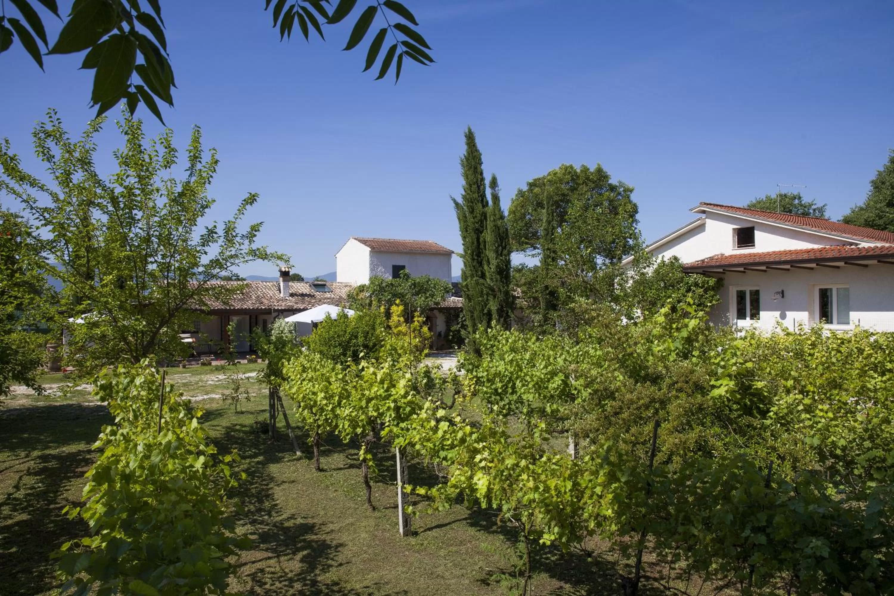 Garden, Property Building in Antico Casale Spezia Pelagalli