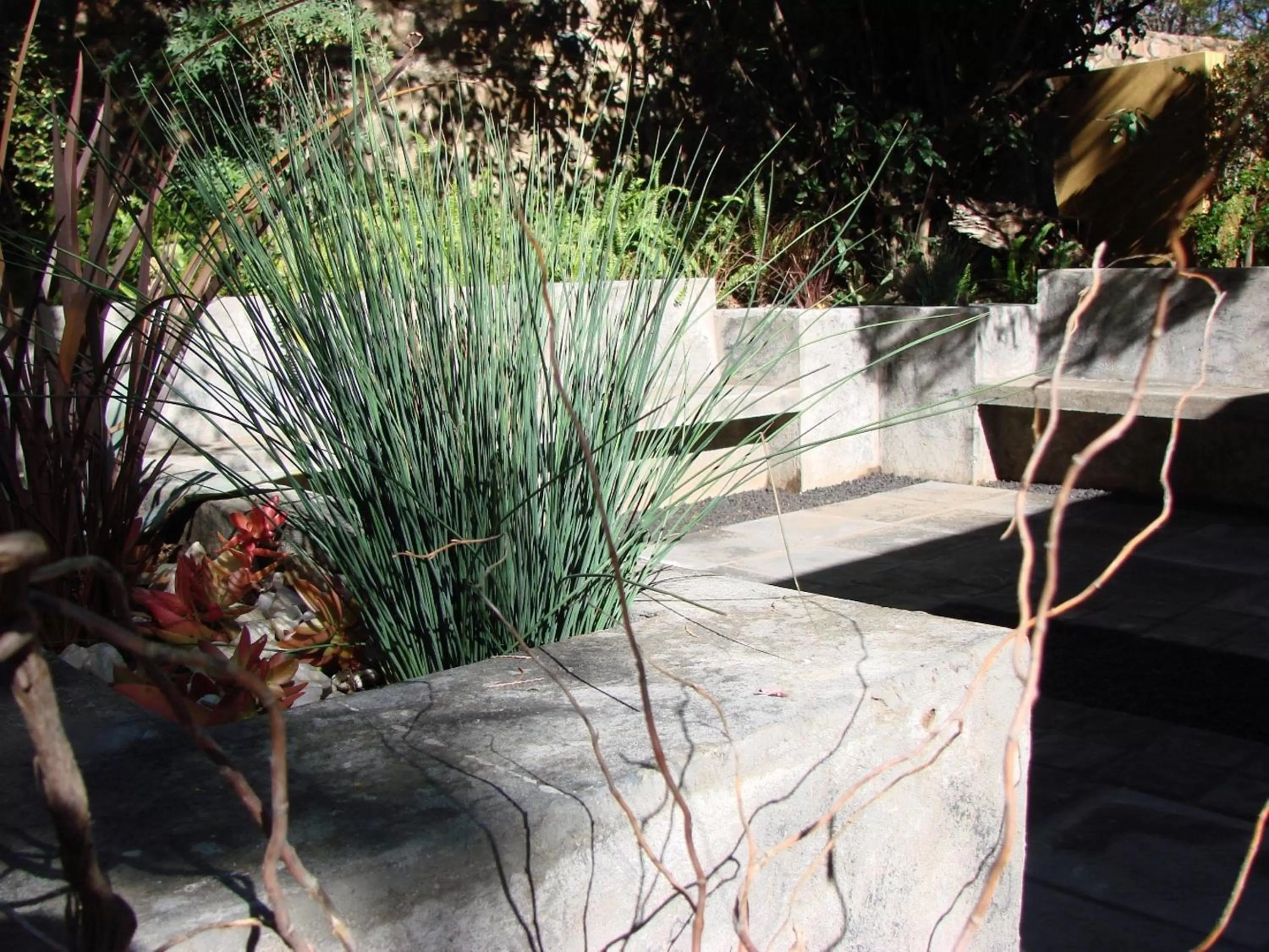 BBQ facilities in Jedidja Bed and Breakfast