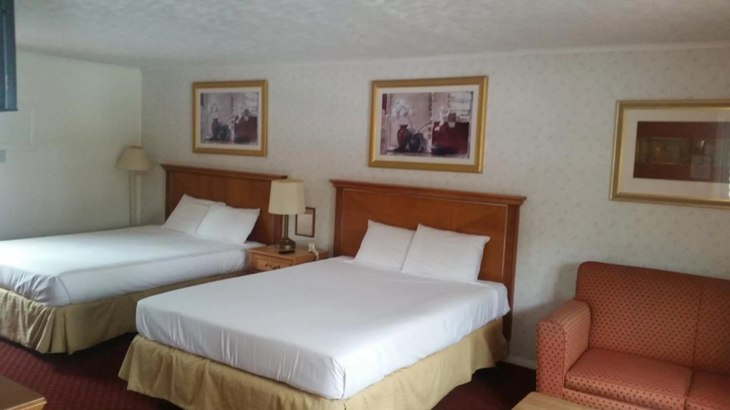 Photo of the whole room, Room Photo in Northside Motel - Williamstown