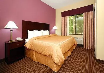  King Suite - Disability Access/Non-Smoking in Comfort Suites