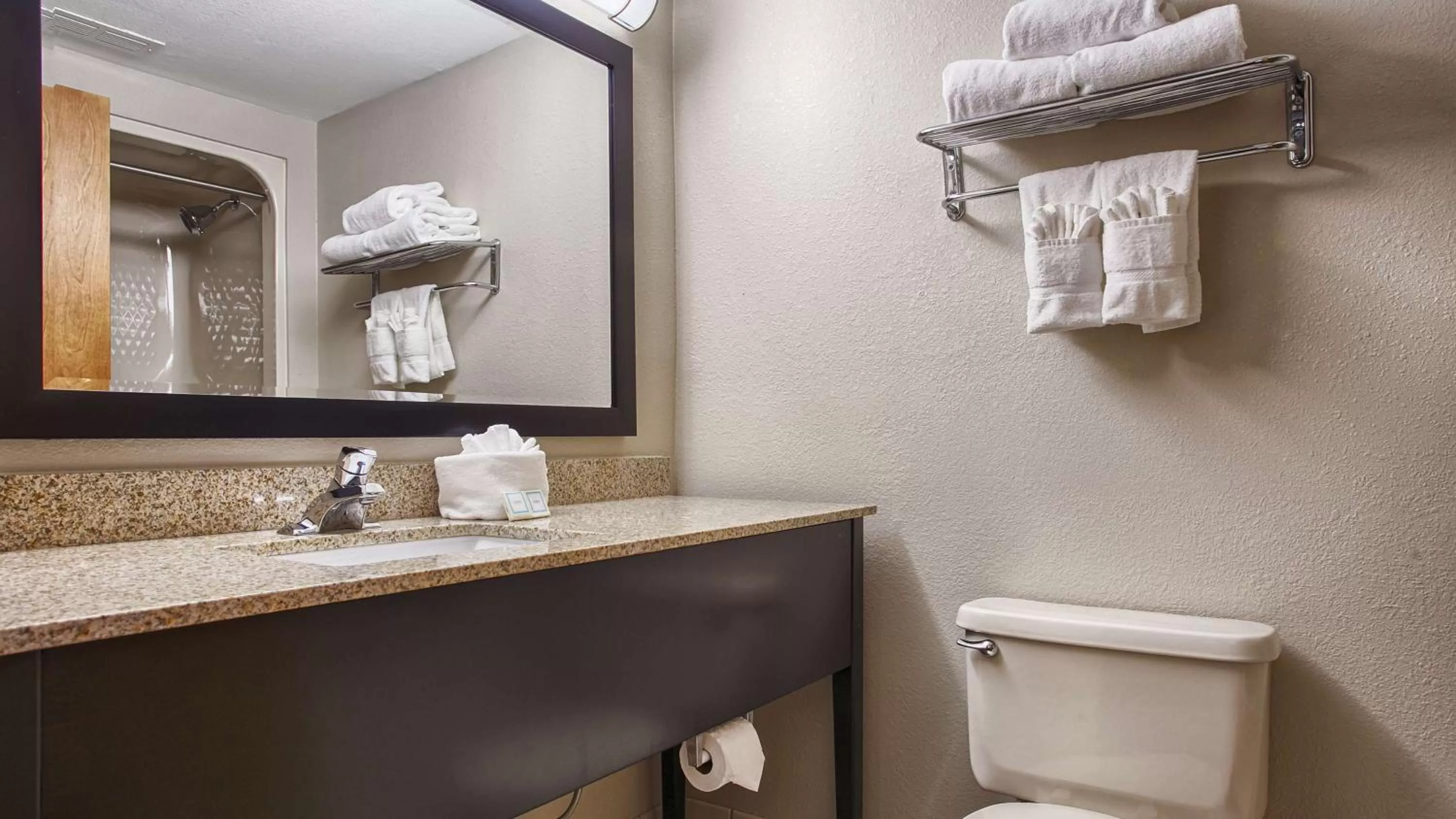 King Room with Roll-In Shower - Disability Access in Best Western Executive Inn & Suites