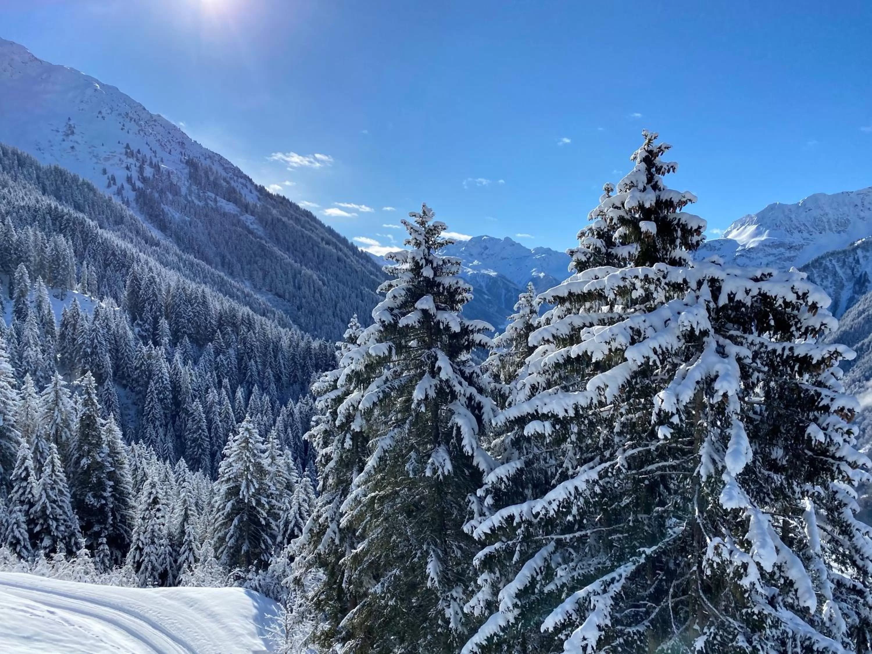 Relax & Vitalhotel Adler