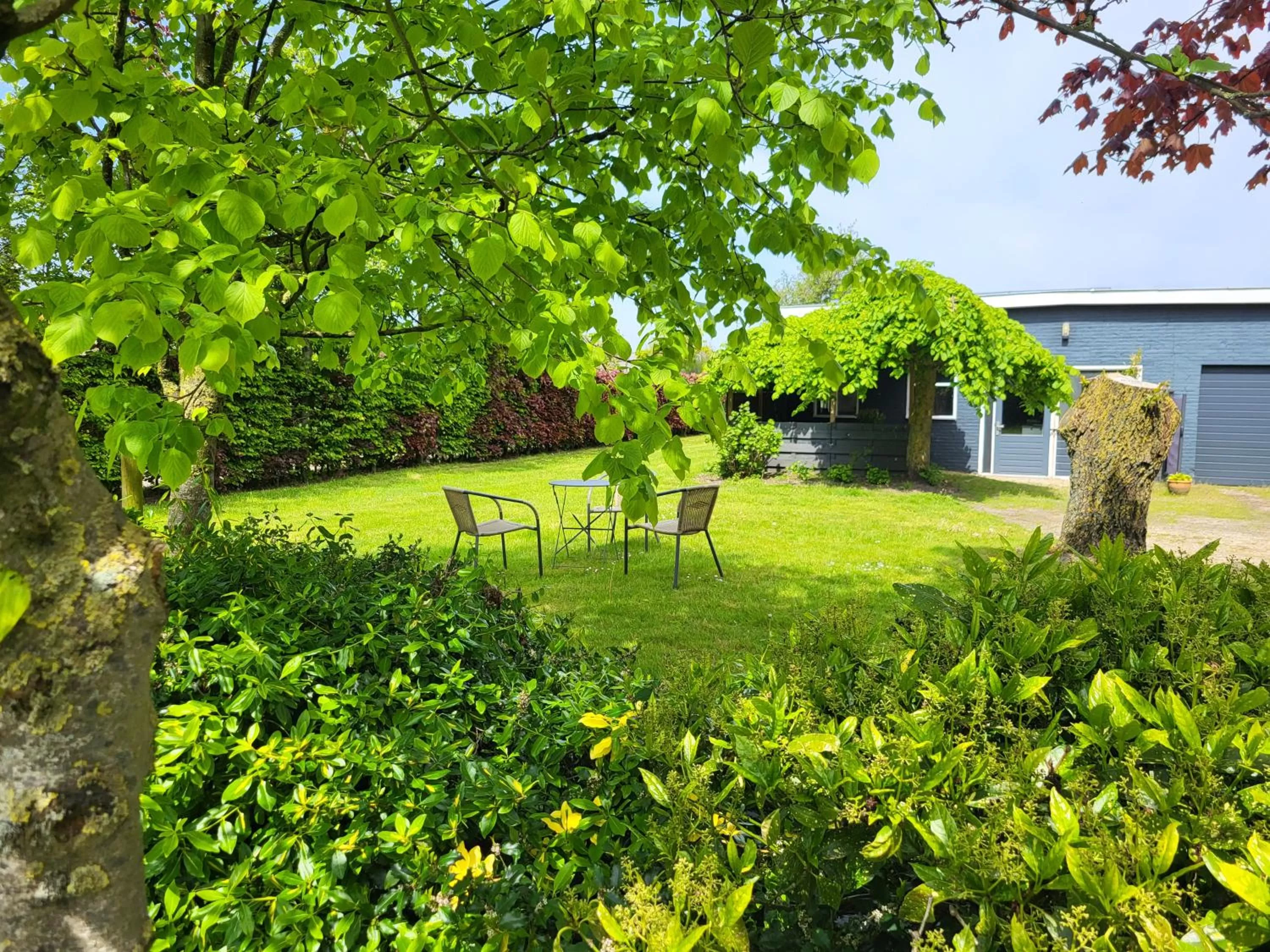 Garden in LUXE Bloemenzicht 4 personen, BnB, 10 minuten van zee