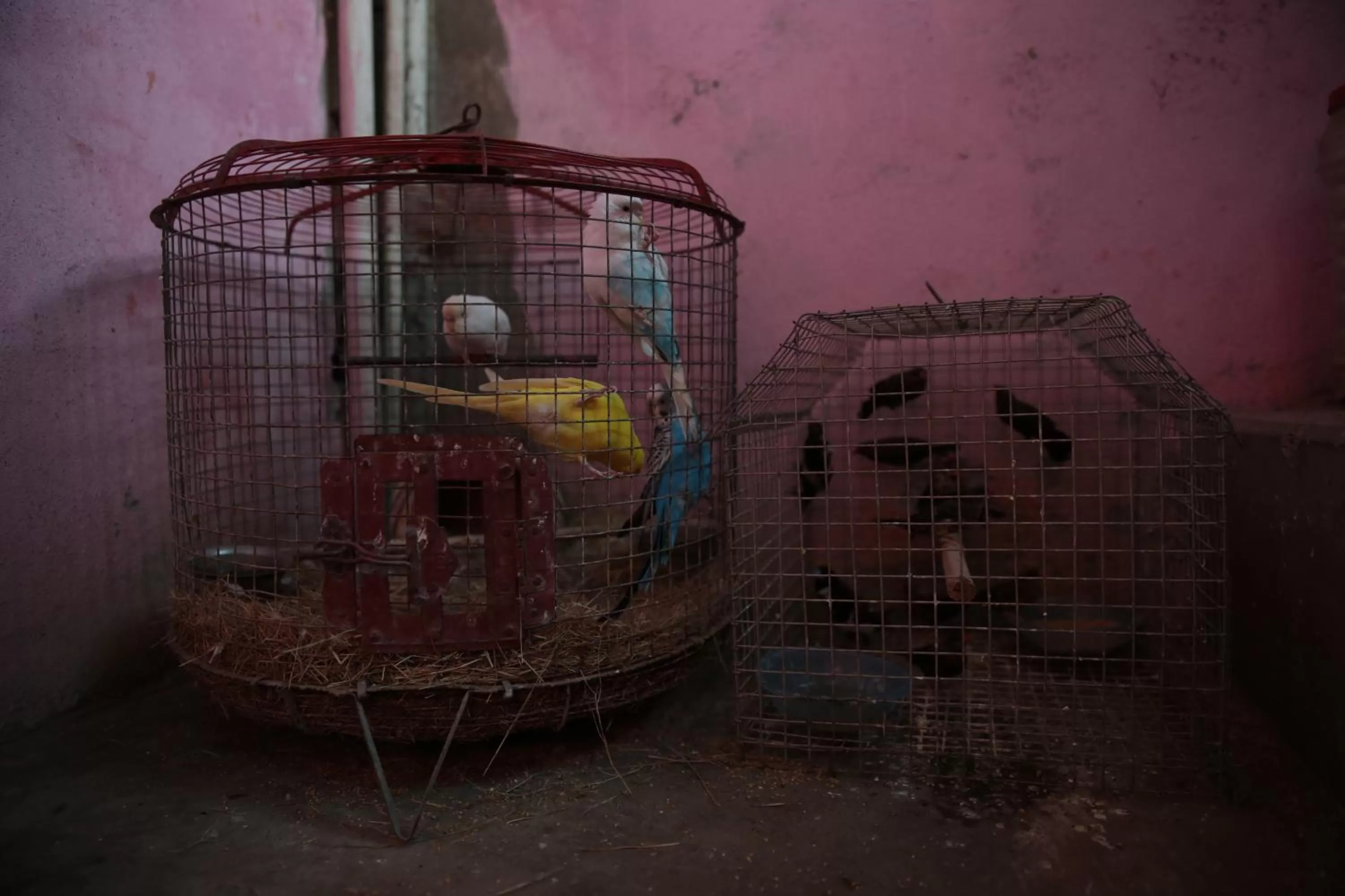 Day in Somit Paying Guest House