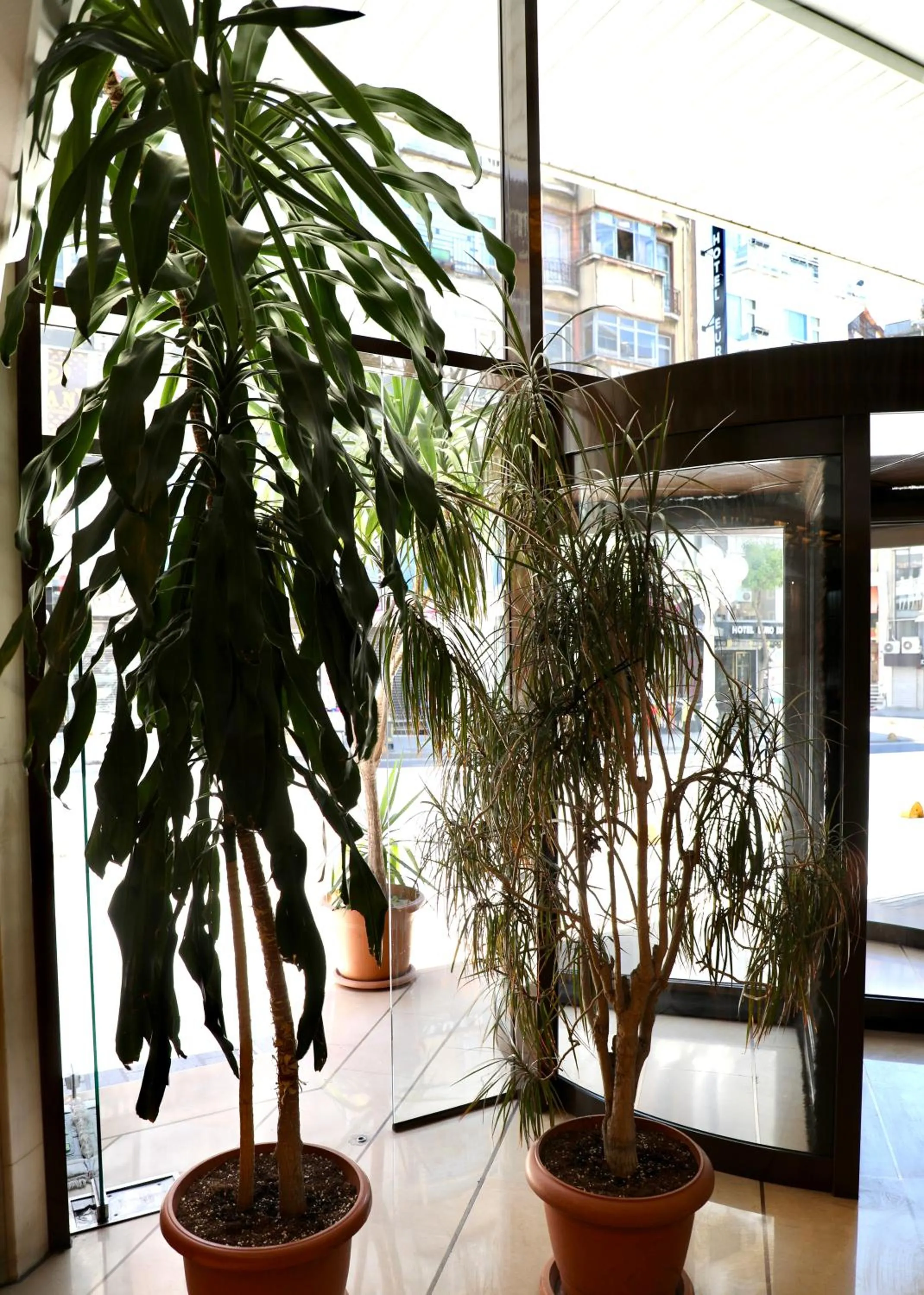 Day in Istanbul Royal Hotel