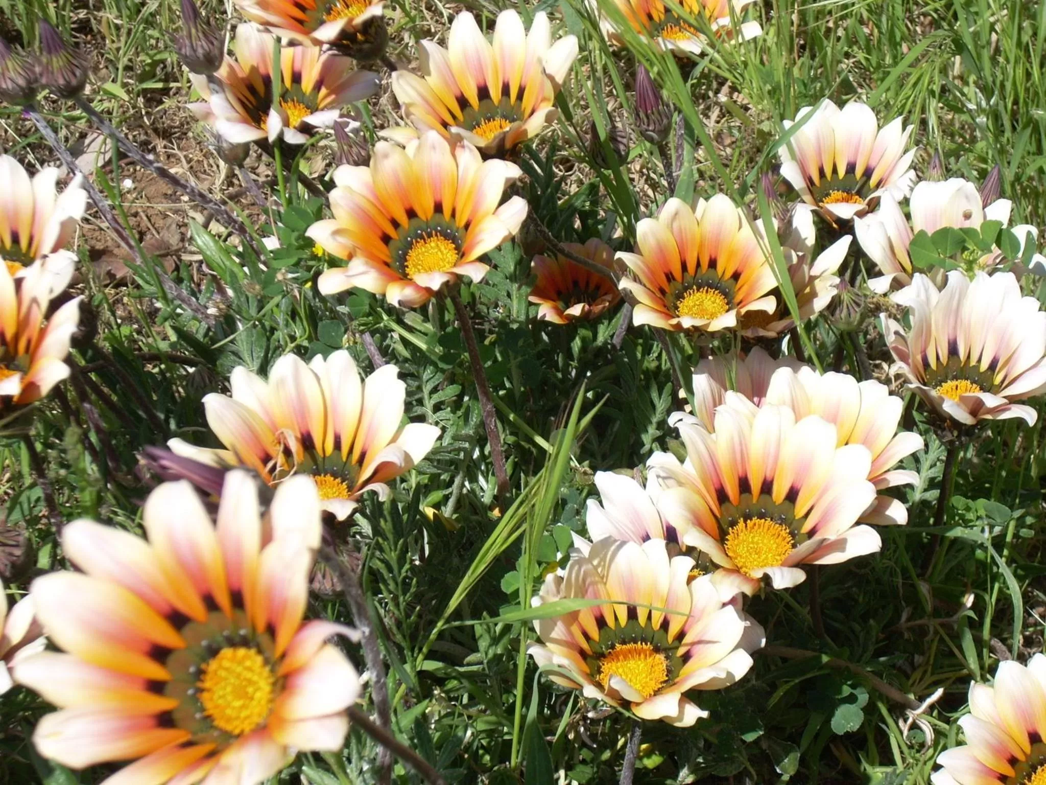 Other in Hotel Margherita