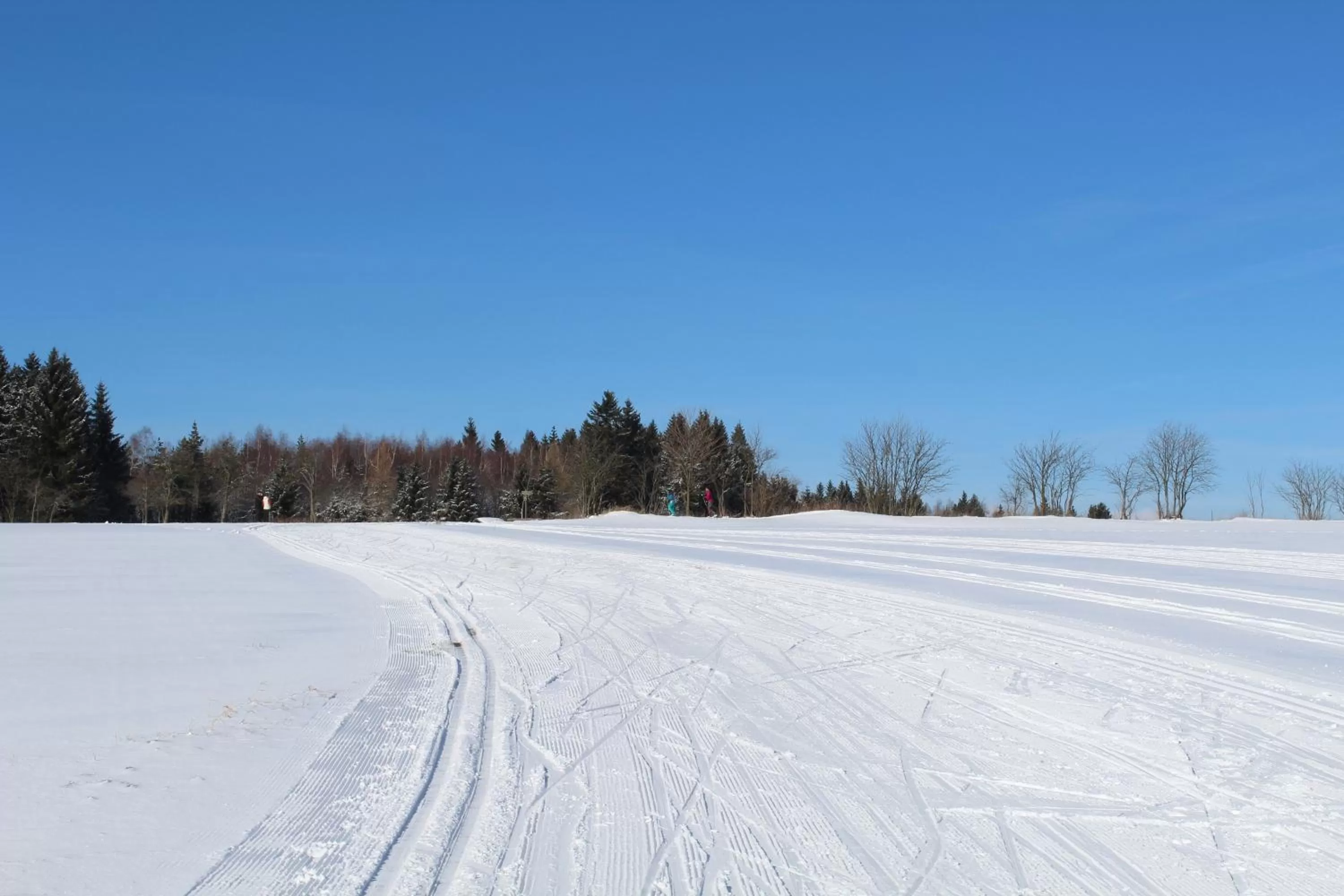 Skiing in Hotel Heilbrunnen