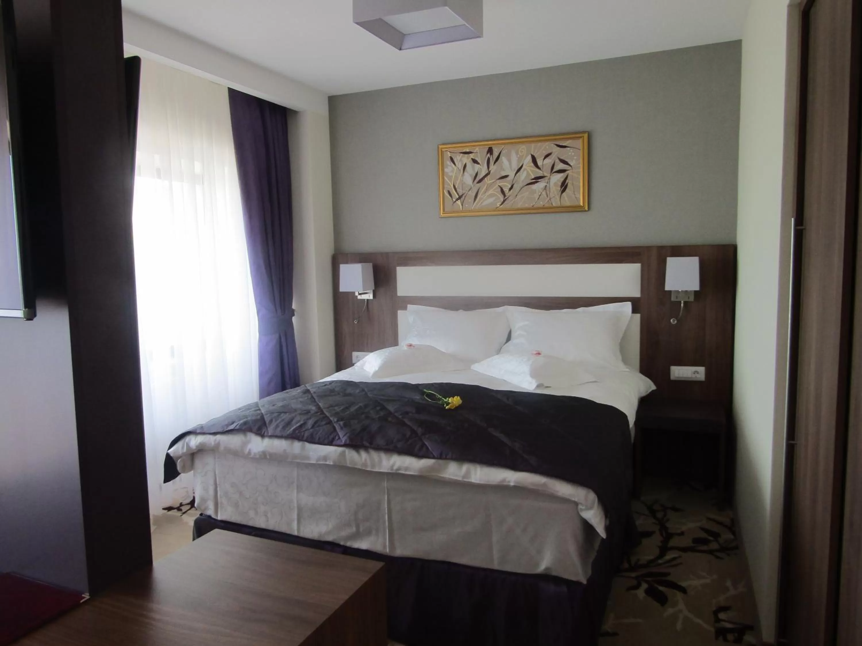 Junior Suite with City View in New Belvedere