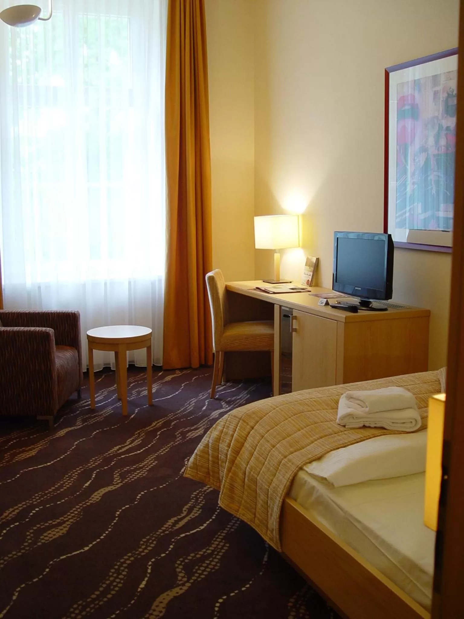 Single Room - single occupancy in Parkhotel Bad Schandau mit SPA