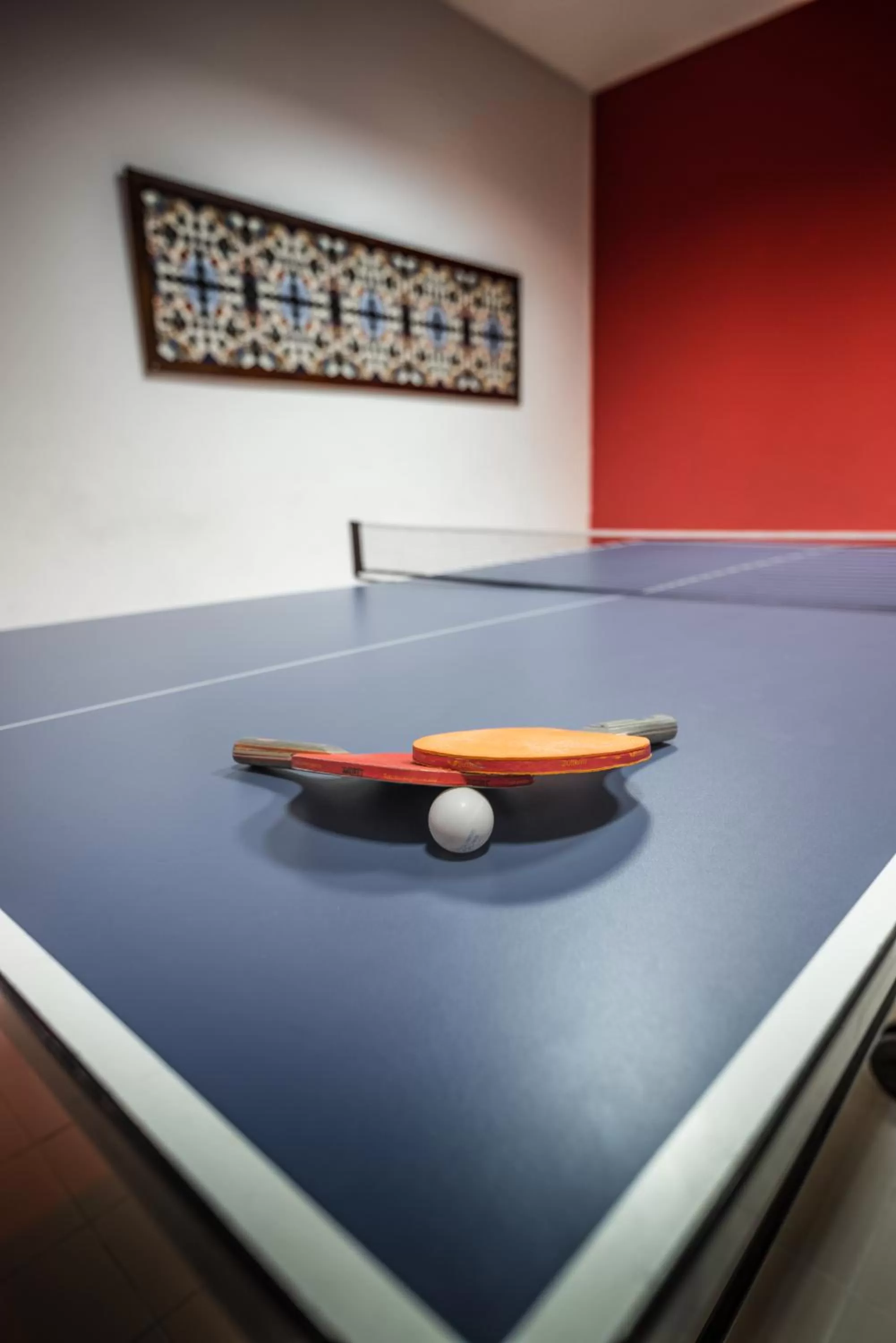 Table tennis in Kopala Tskneti Hotel