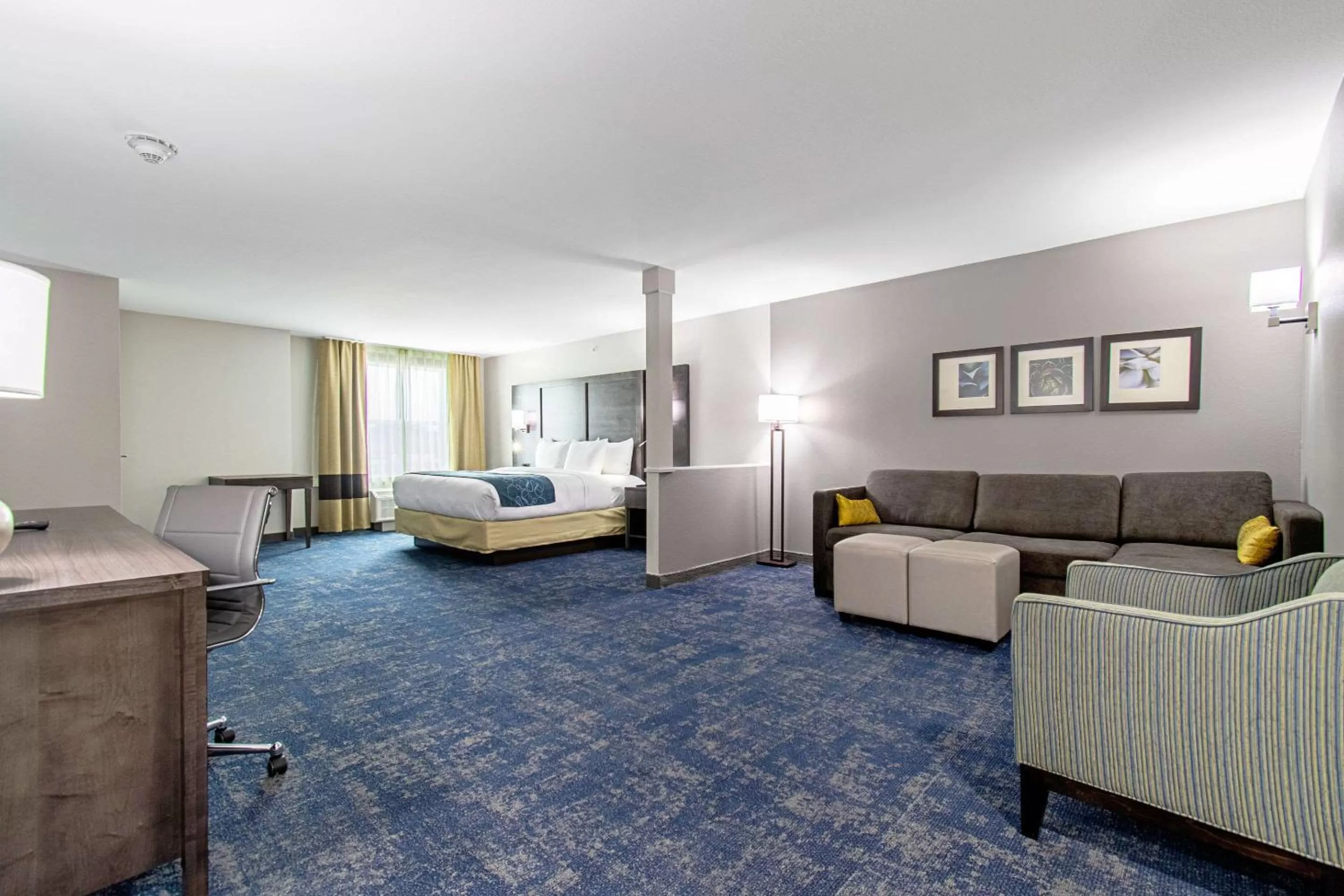 Photo of the whole room, Bed in Comfort Suites Humble Houston IAH