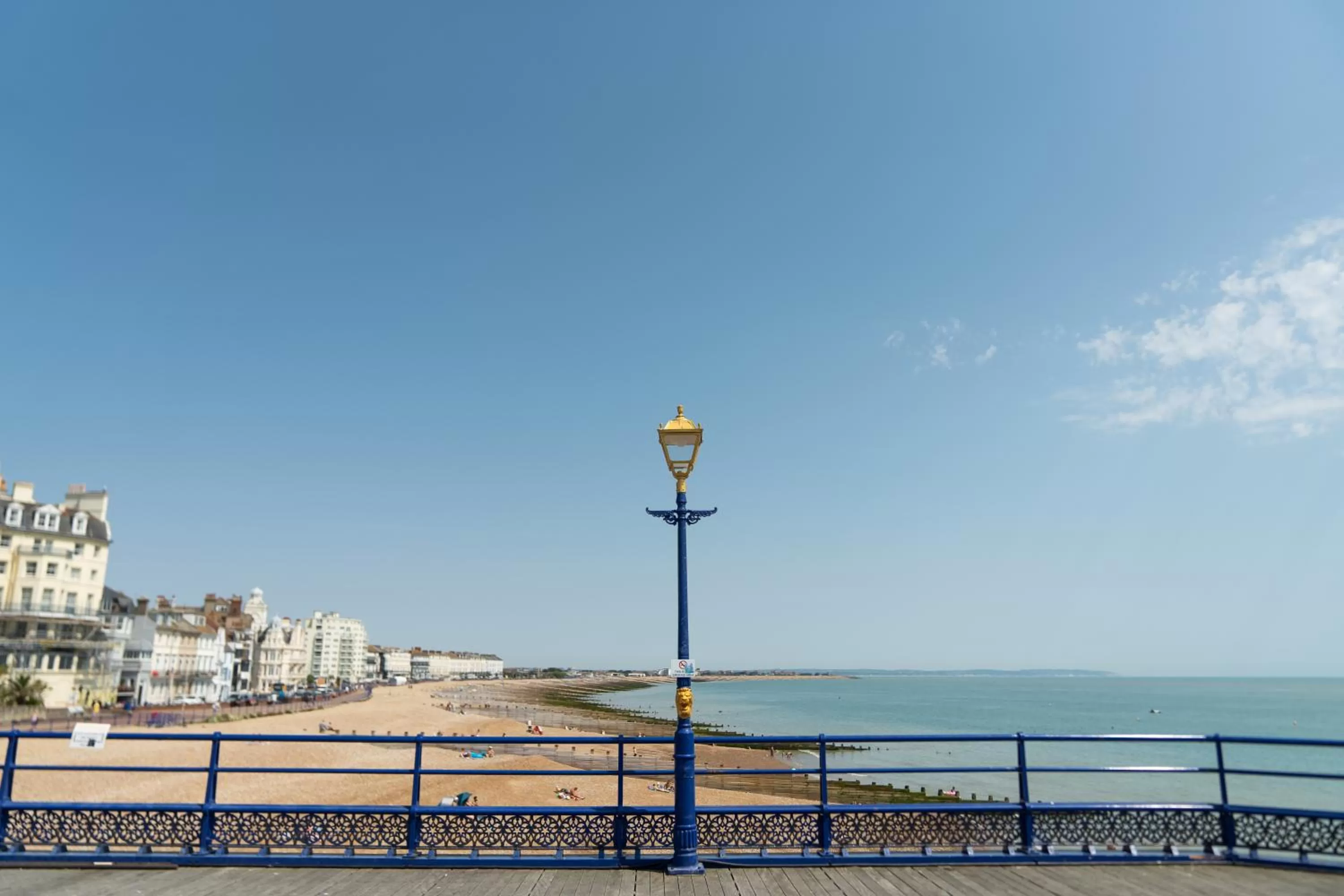 Natural landscape in The Lansdowne, Eastbourne