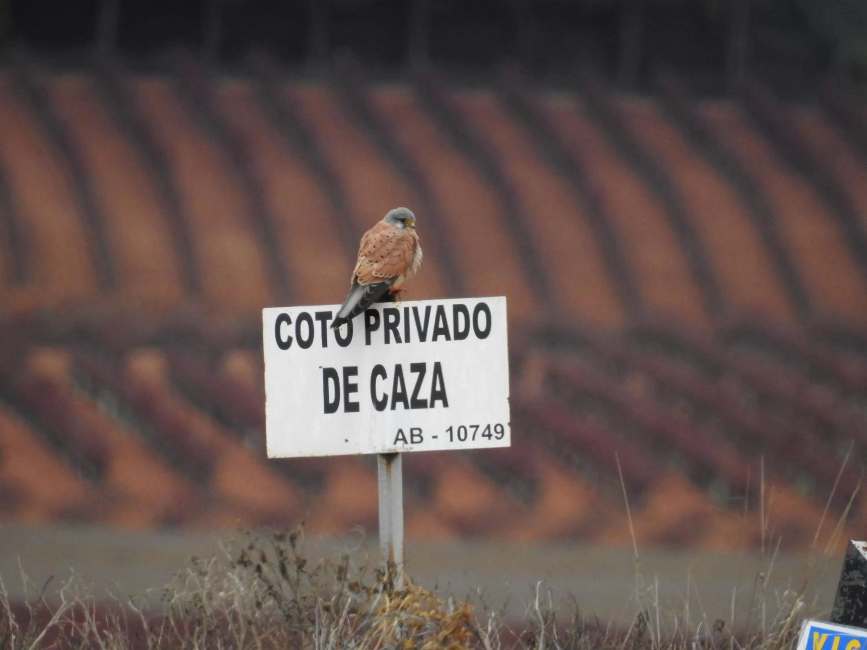 Nearby landmark in Finca El Romeral