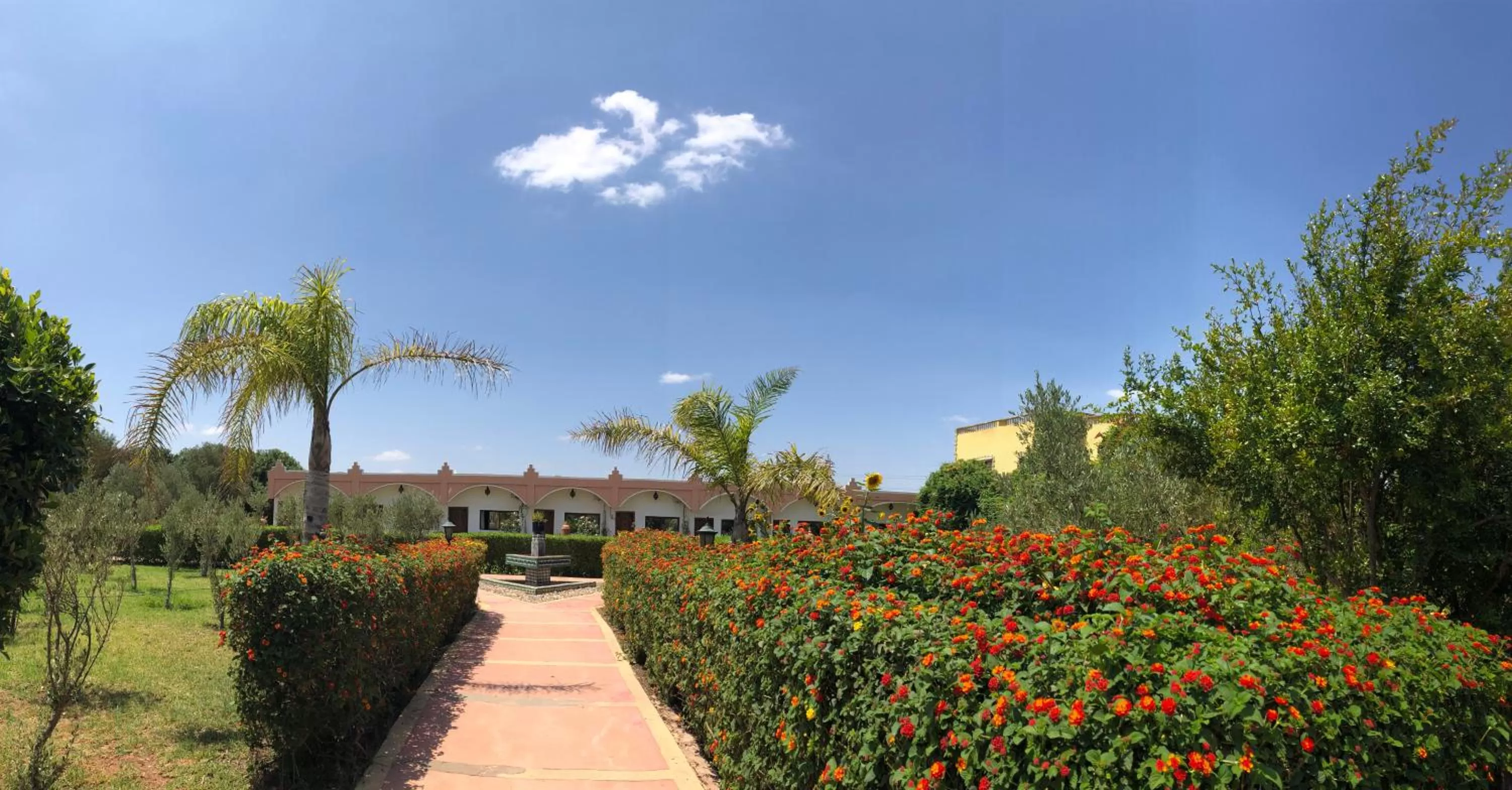 Garden in Riad Hamdani