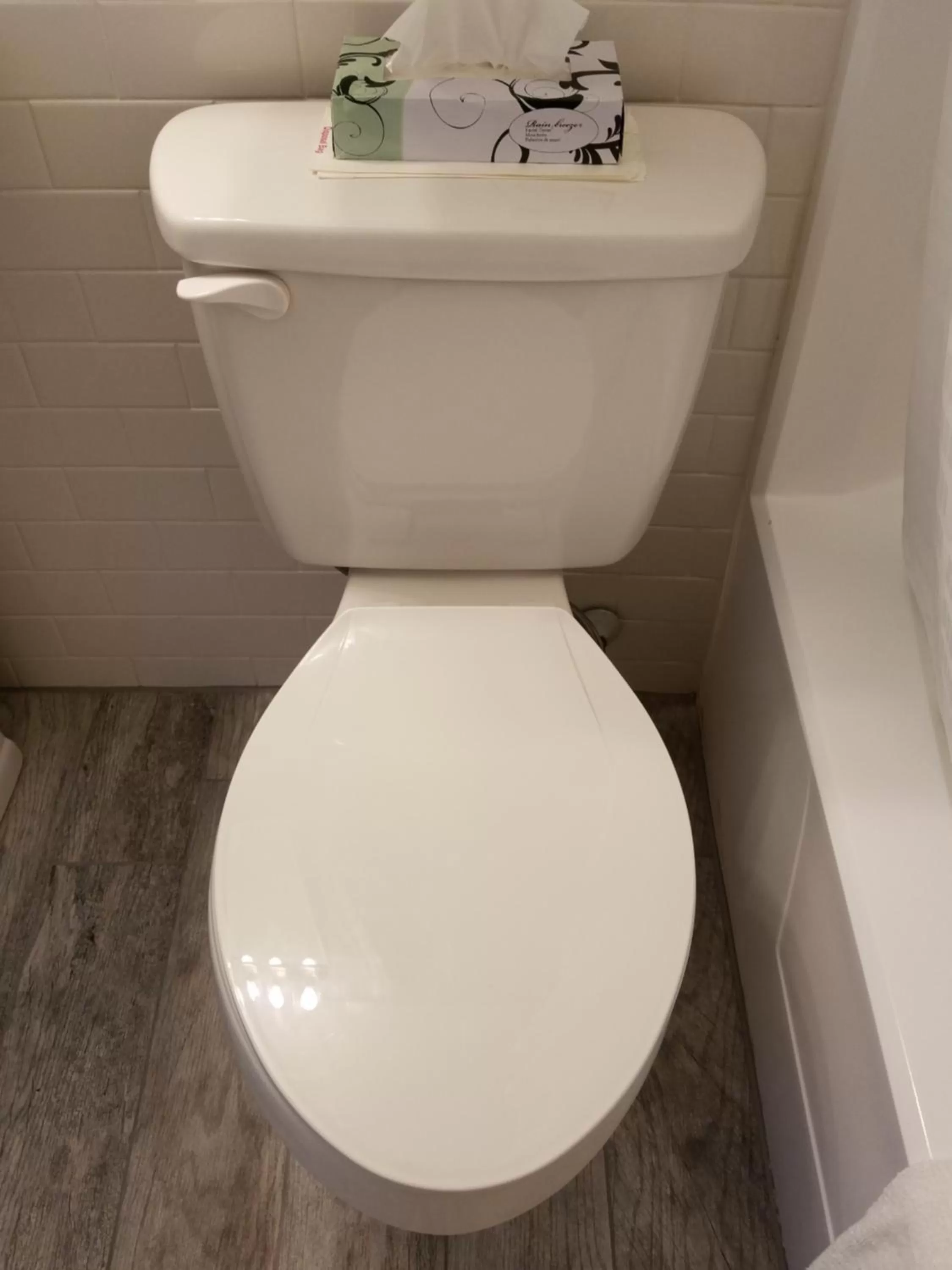 Toilet in Hampton Village Inn