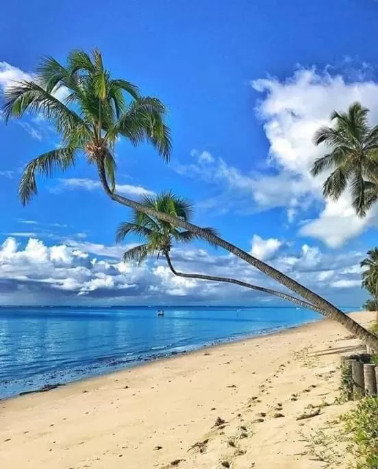 Pousada Quinta do Patacho