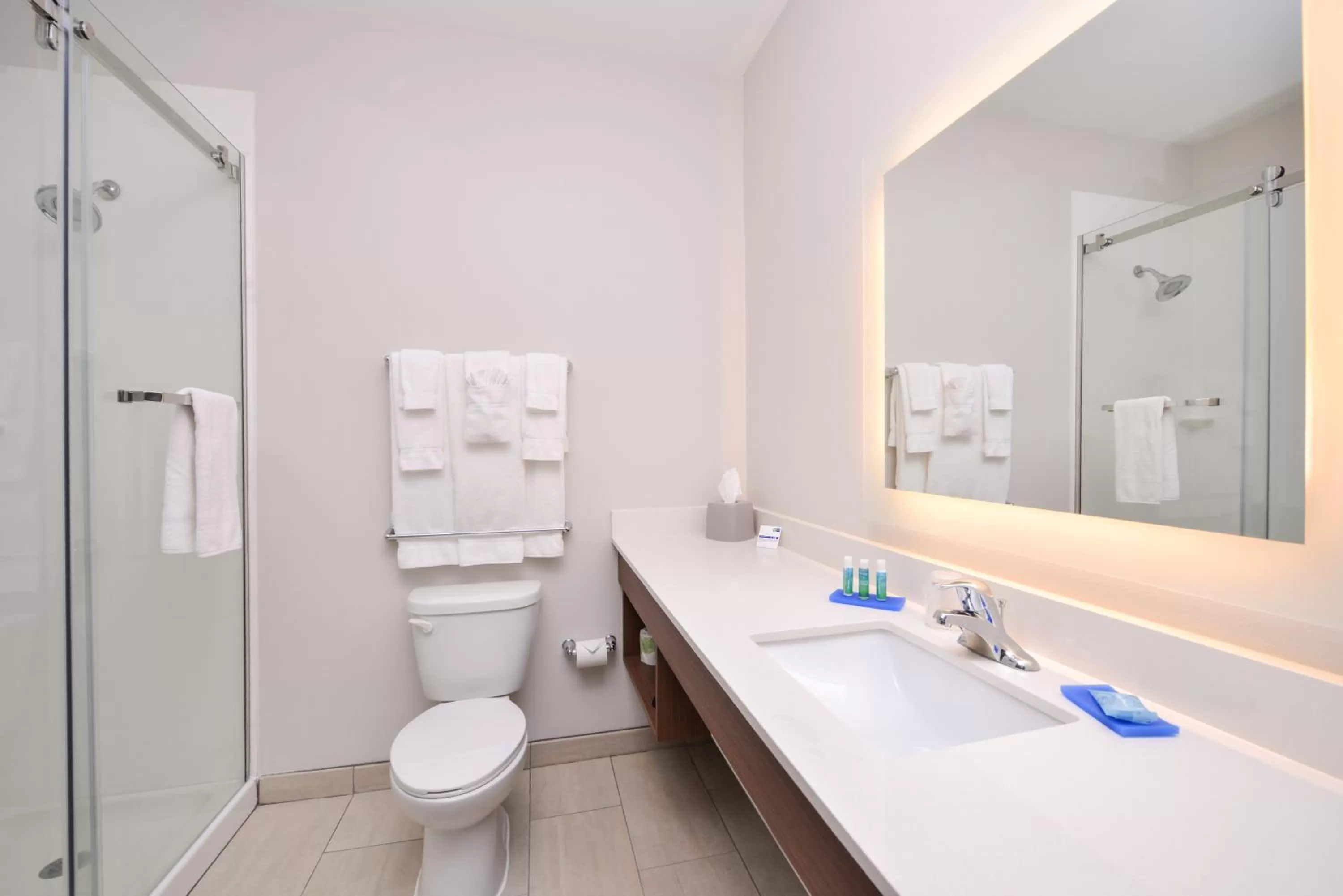 Bathroom in Holiday Inn Express Donaldsonville by IHG