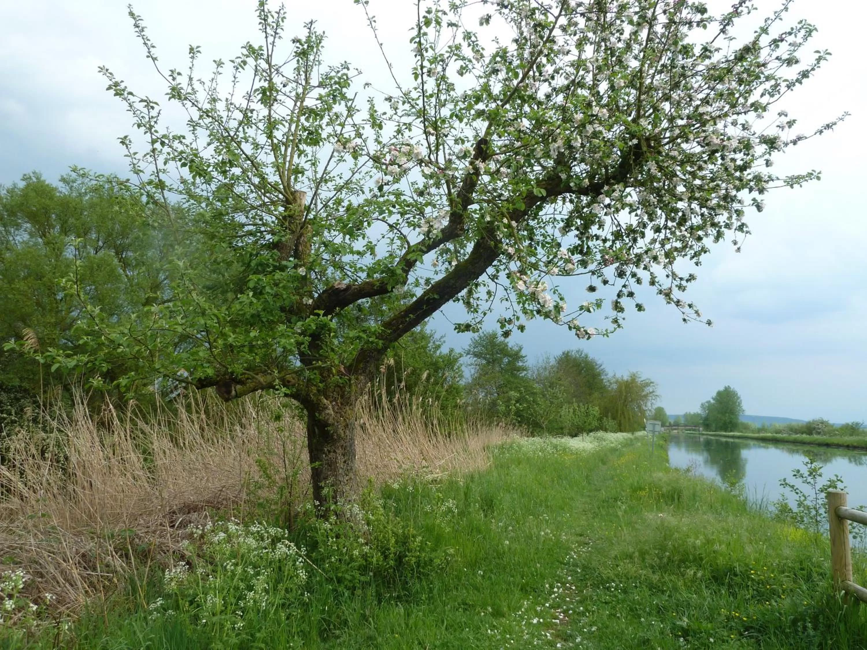 Nearby landmark in Maison Les Beaux Arts