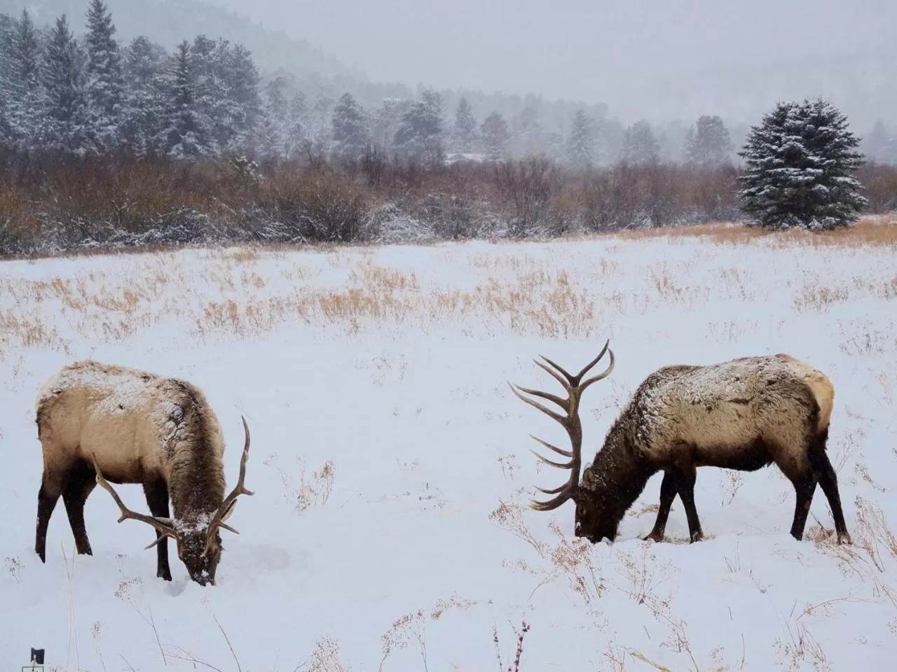 Winter in Riversong Inn Retreat