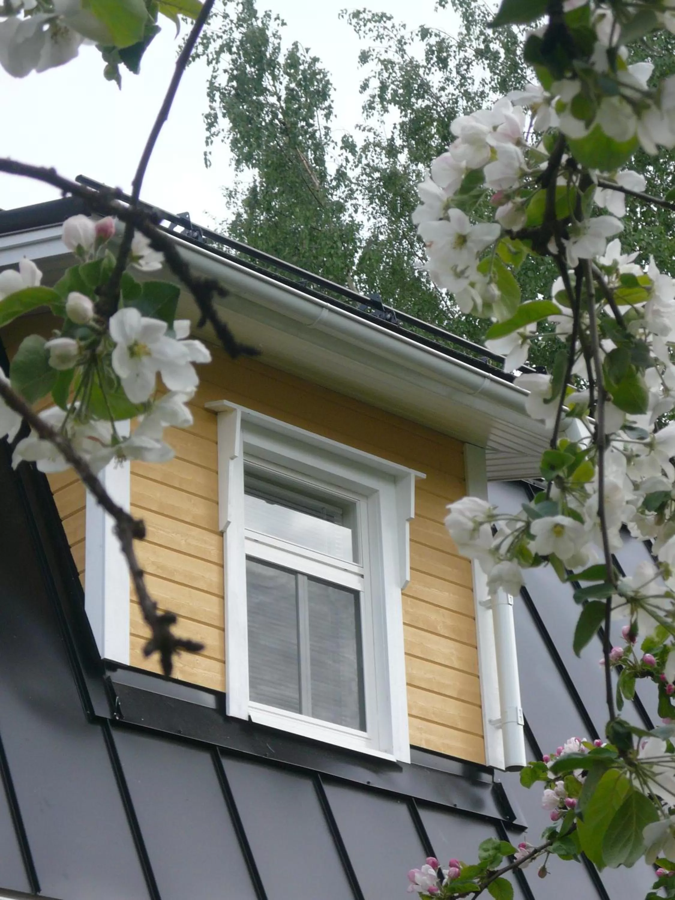 Day in B&B Lomamokkila