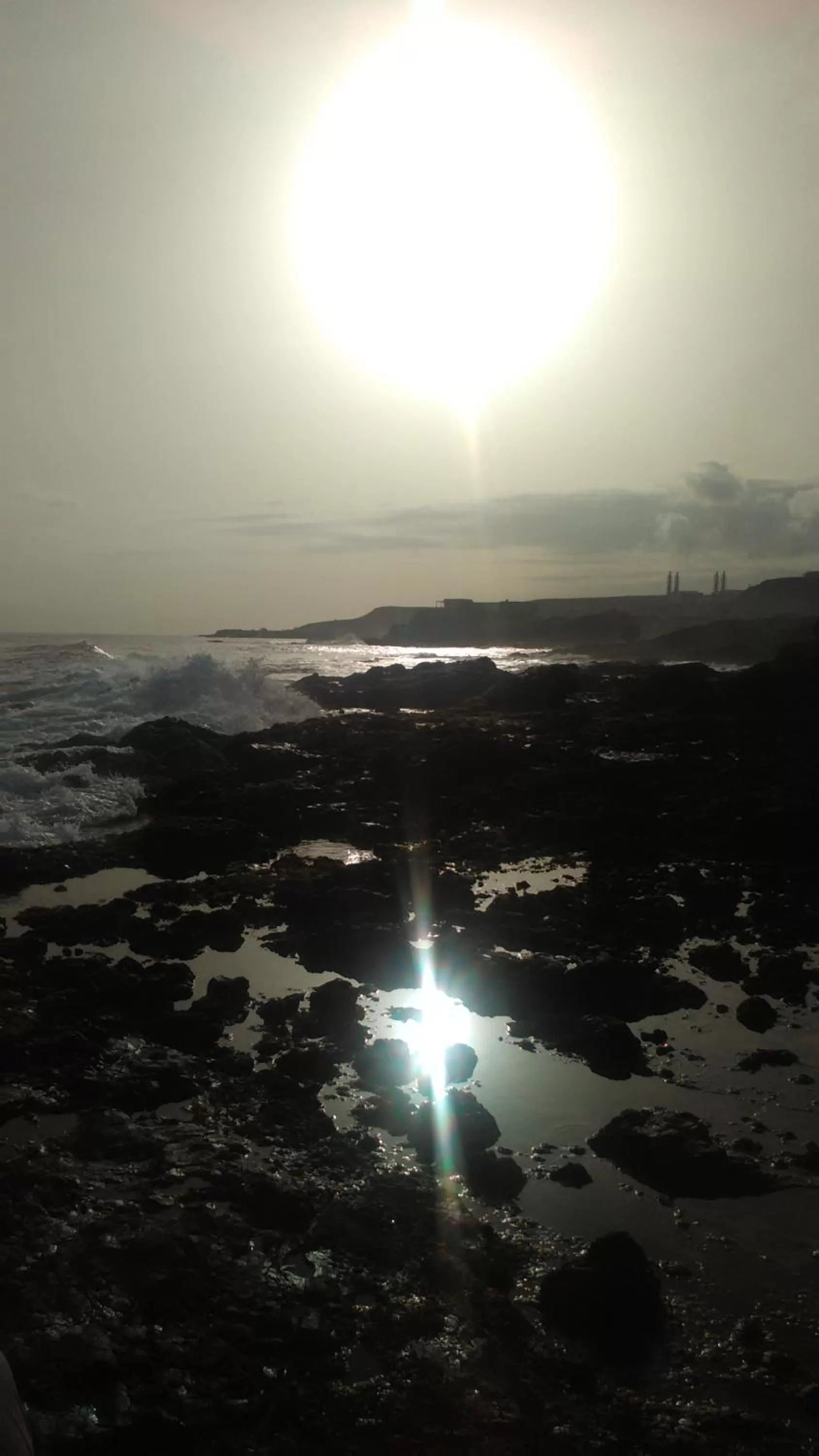 Natural landscape in LT Aparthotel