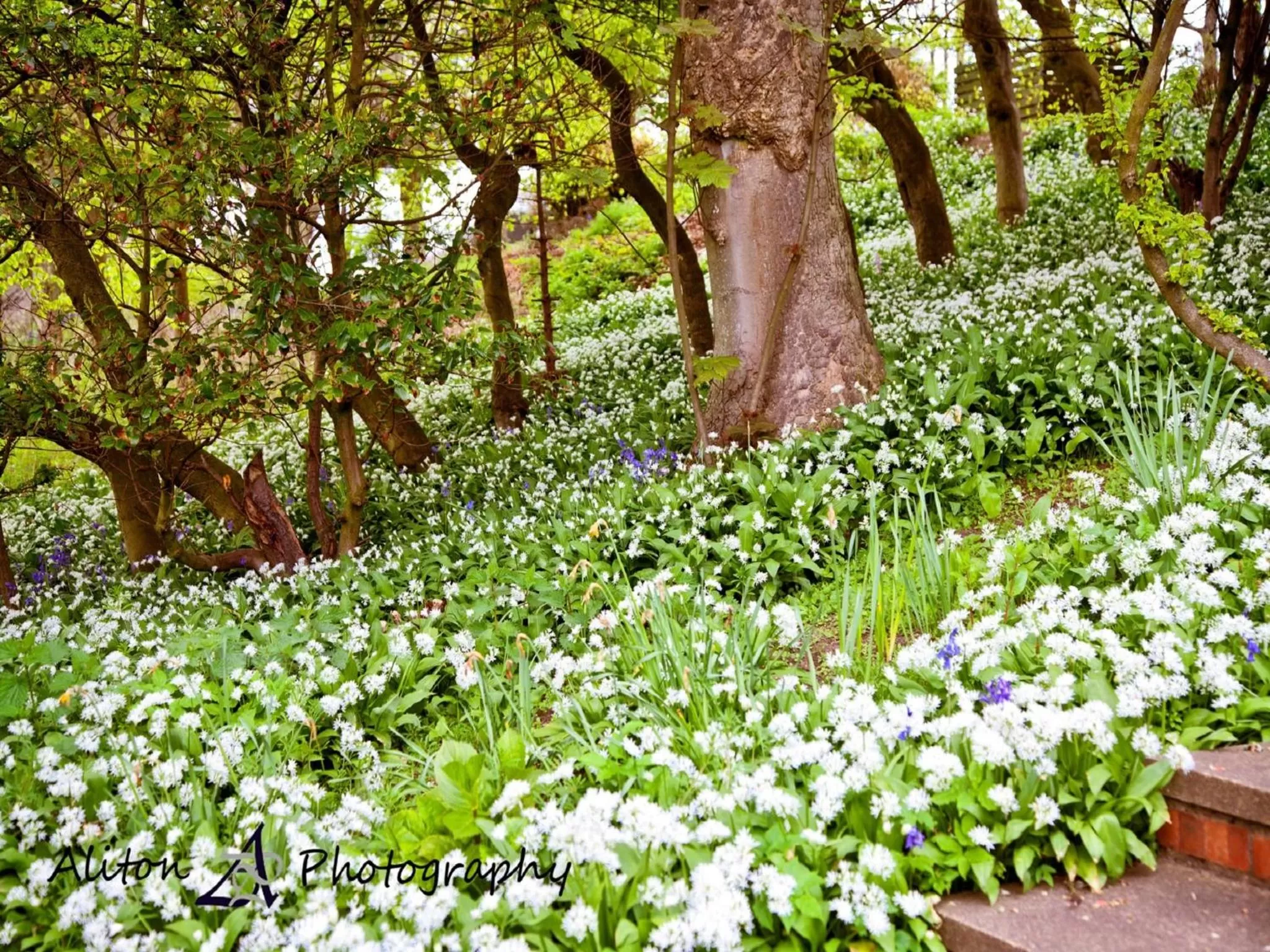 Natural landscape in Old Manor Hotel