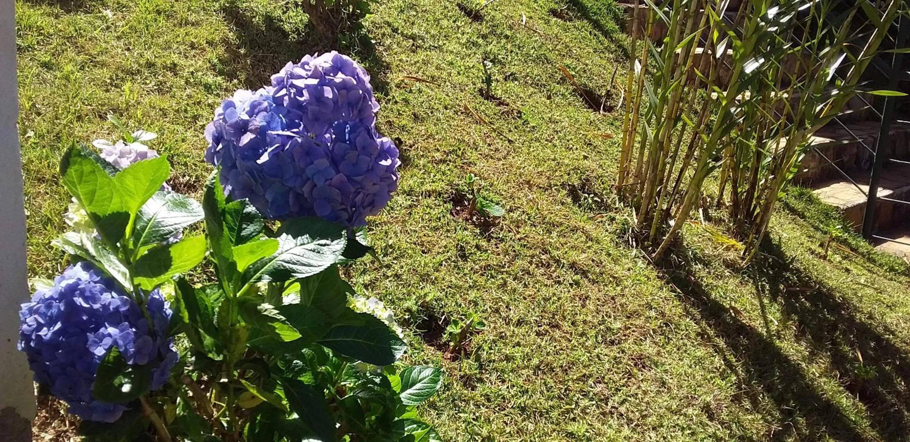 Pousada Vila Real Flats