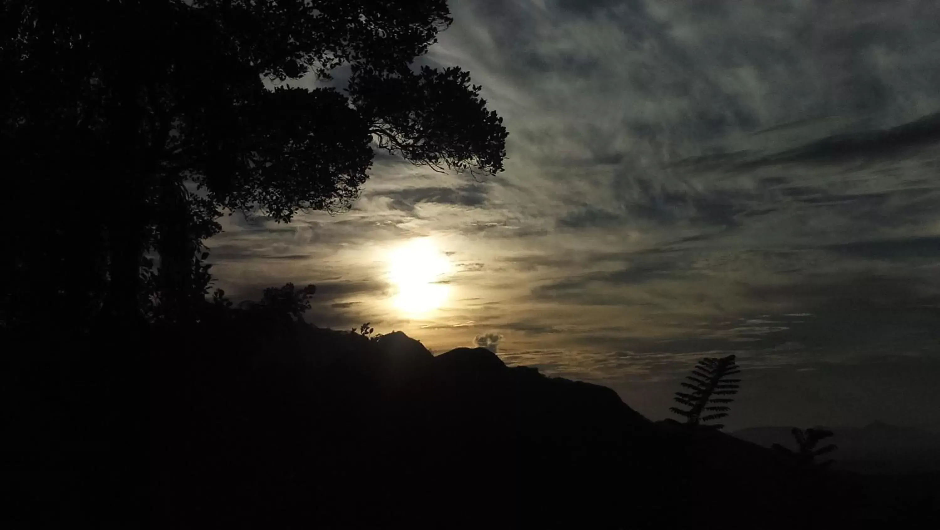 Deluxe Double Room in Blue Ribbon Homestay Deluxe Double Room in Blue Ribbon Homestay