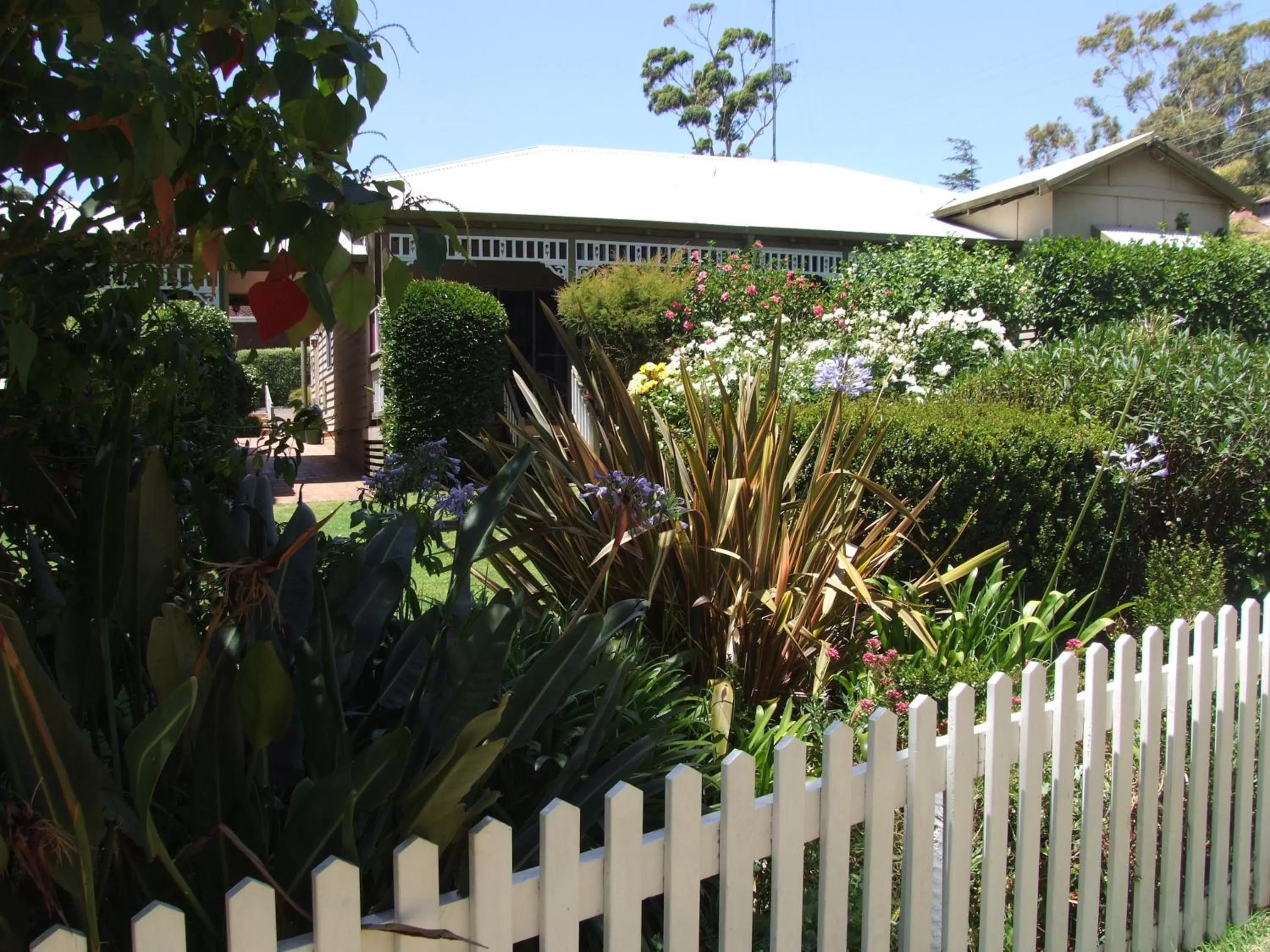 Garden in Adamsons Riverside Accommodation
