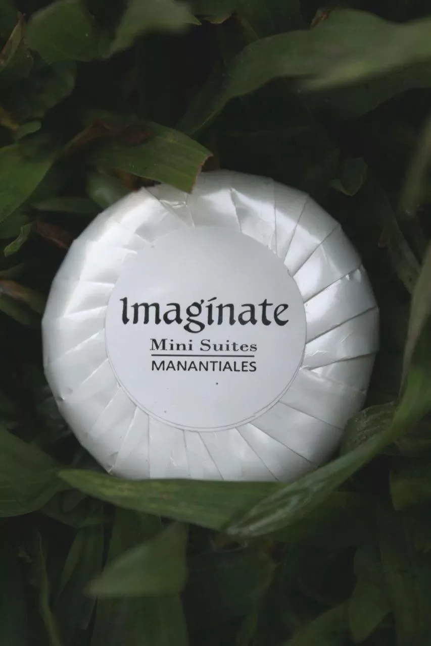 Imaginate