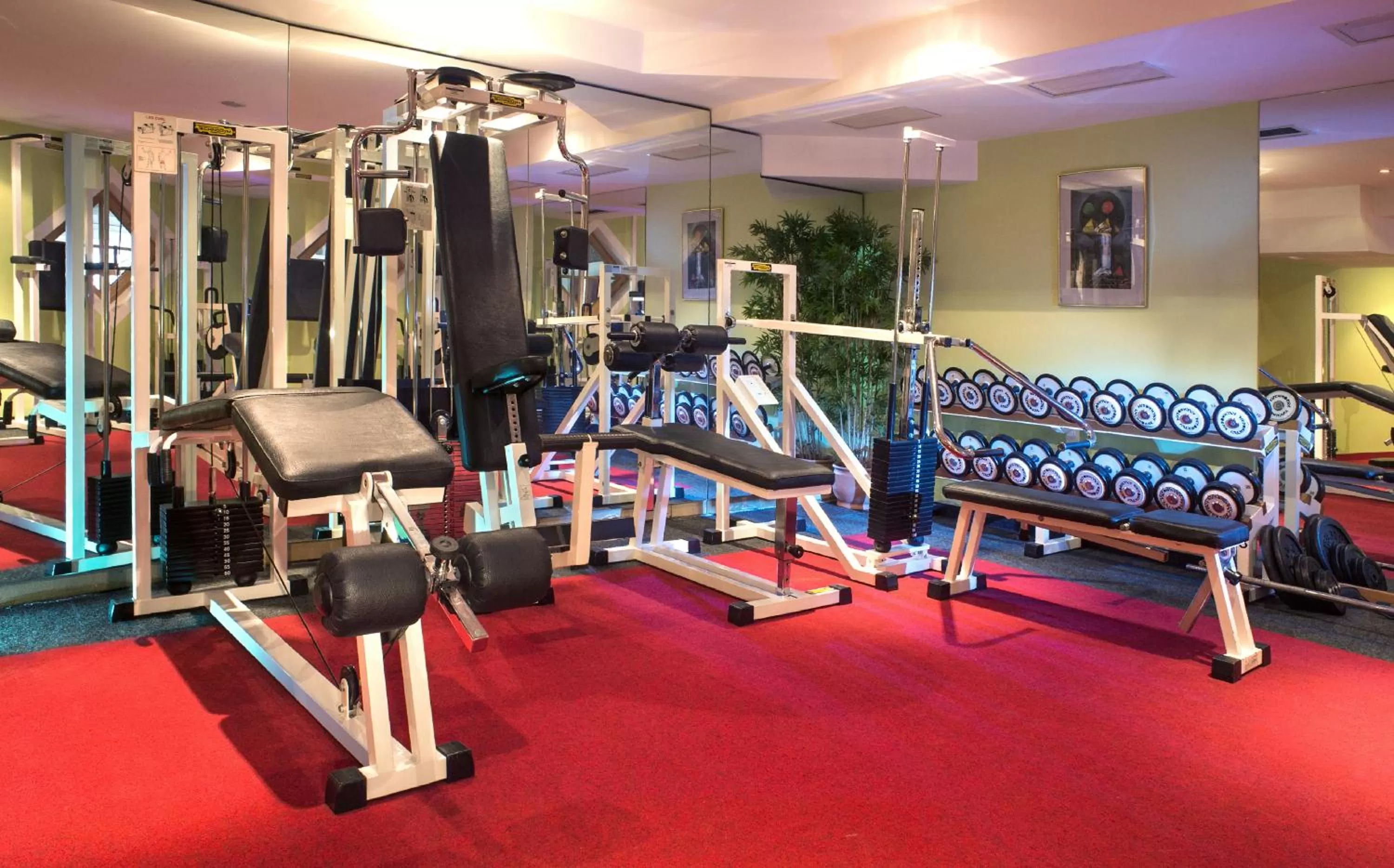 Fitness centre/facilities in Hotel Brückenwirt