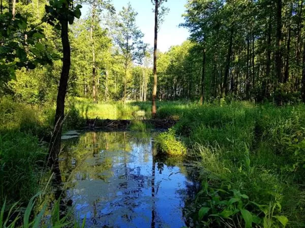 Day in Majątek Morgi