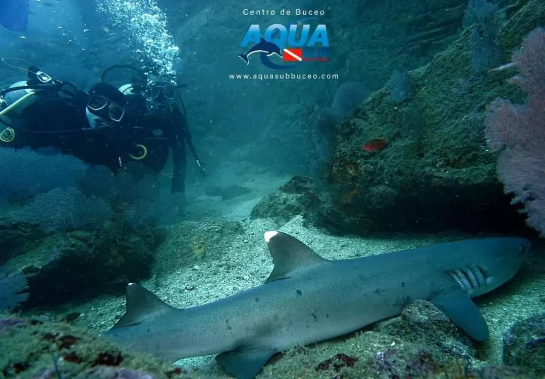 People, Other Animals in Posada Turística Rocas De Cabo Marzo