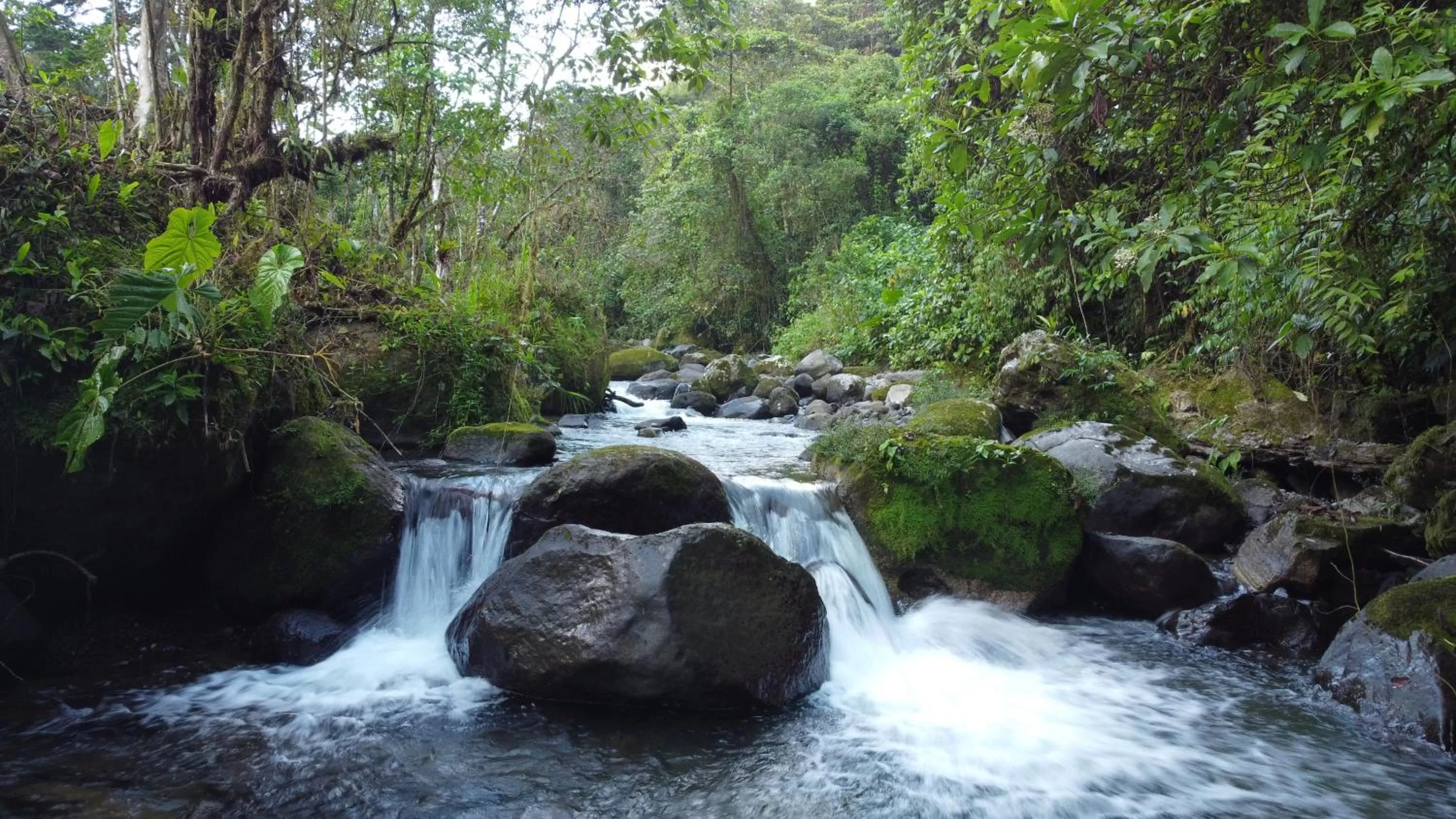 River view, Natural Landscape in Hotel Rivel - Adventure & Nature Retreat
