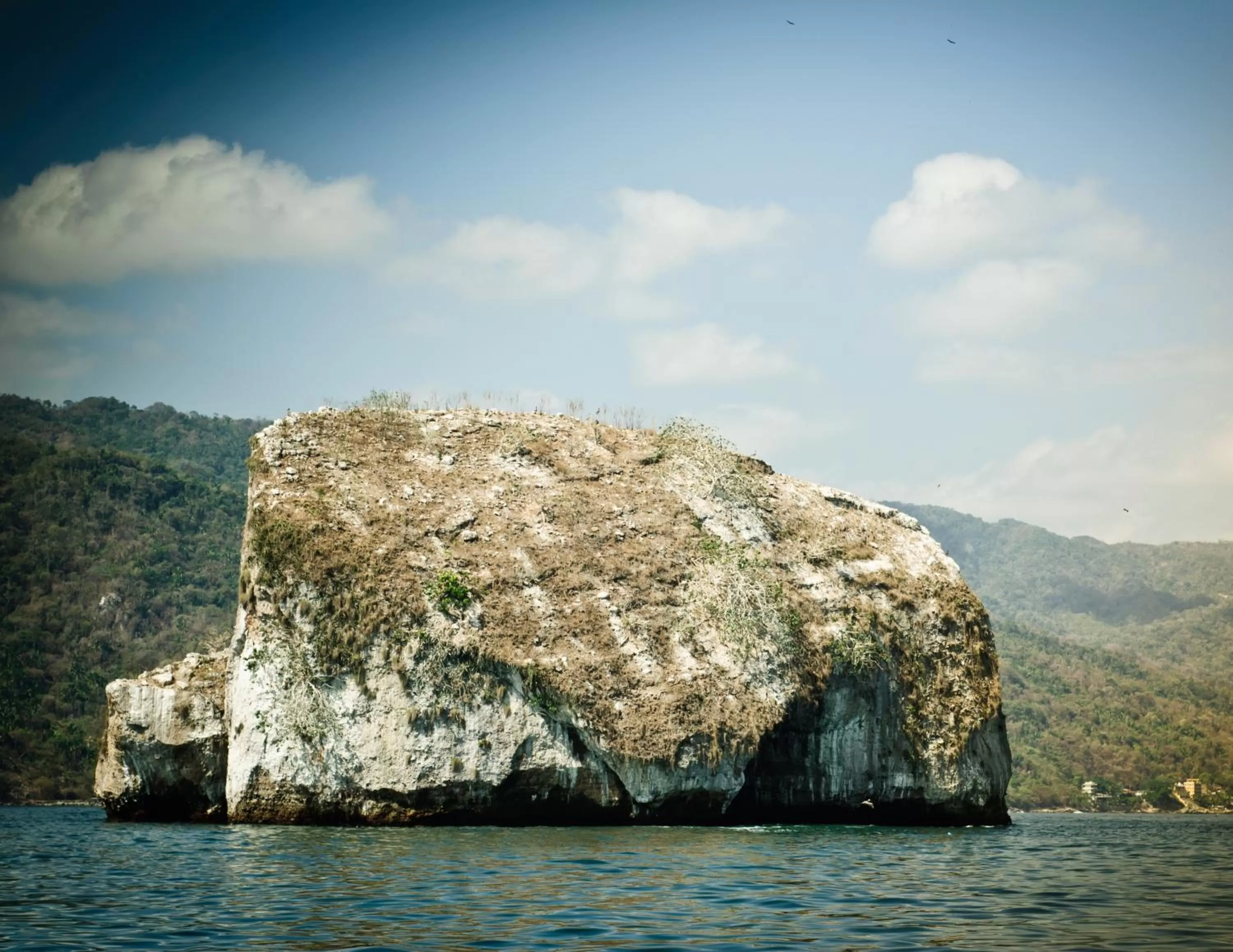 Area and facilities, Natural Landscape in Joint Coworking Hotel