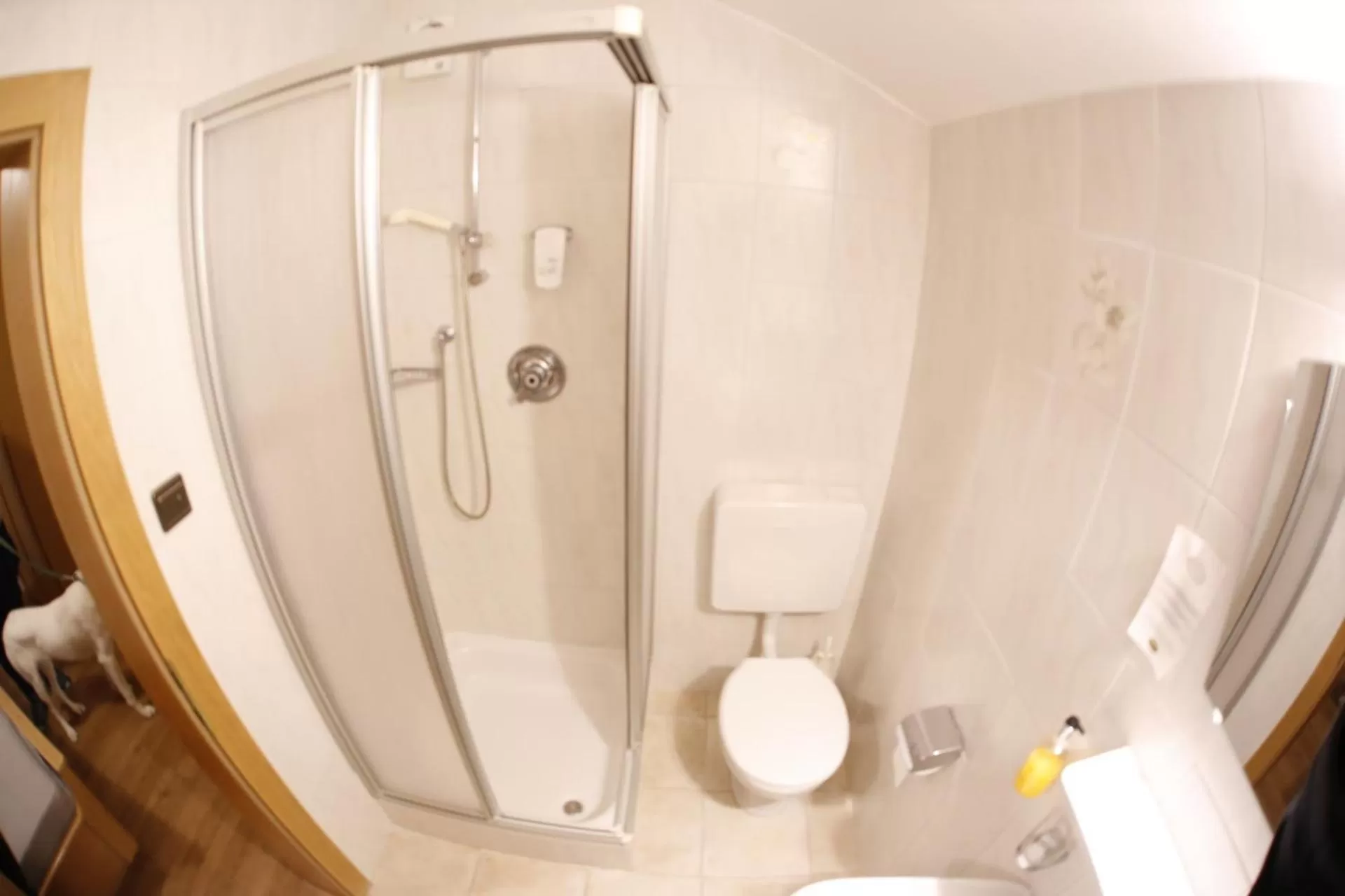 Shower in Almhotel Bergerhof