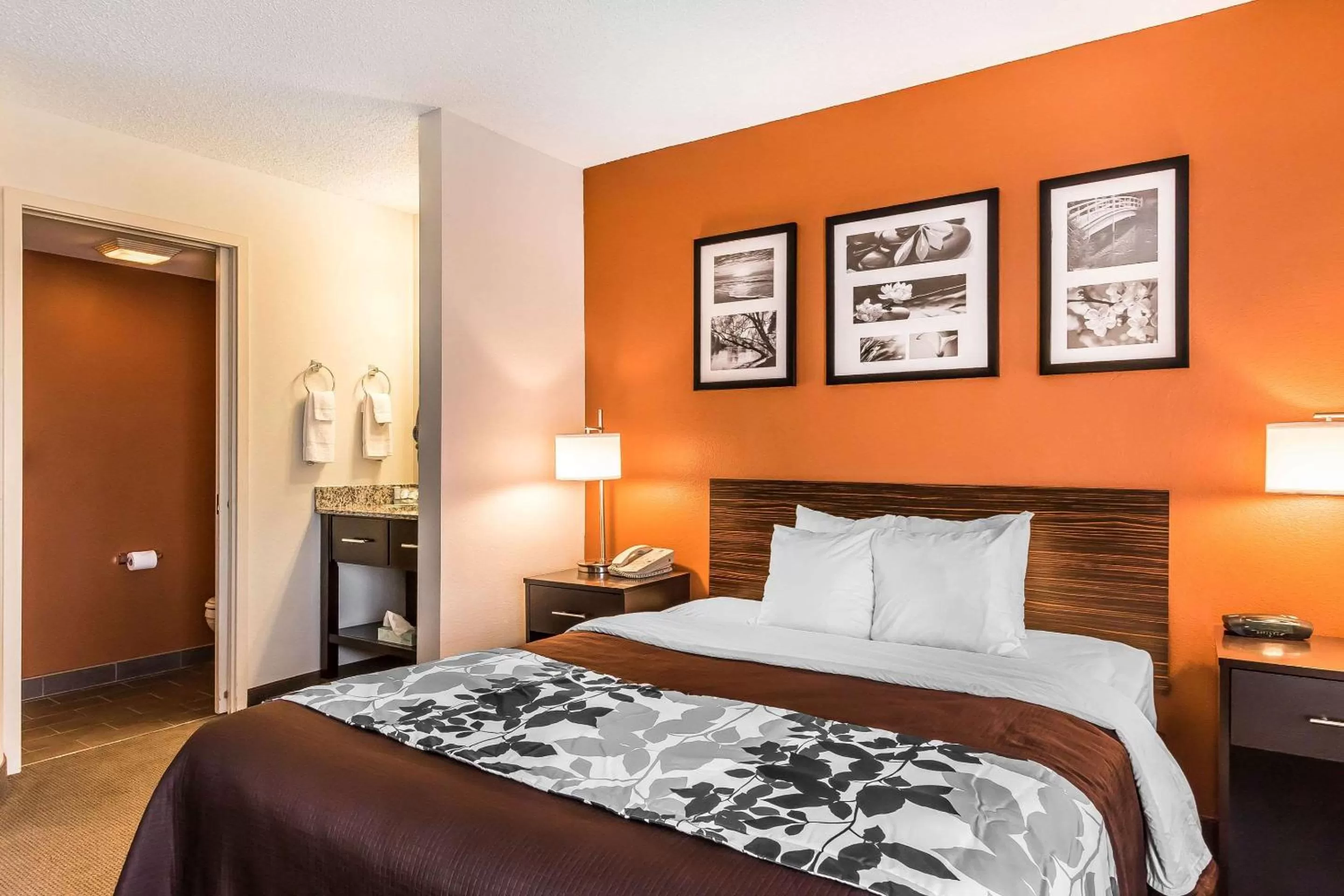 Photo of the whole room, Bed in Sleep Inn Springfield South I60 near Medical District