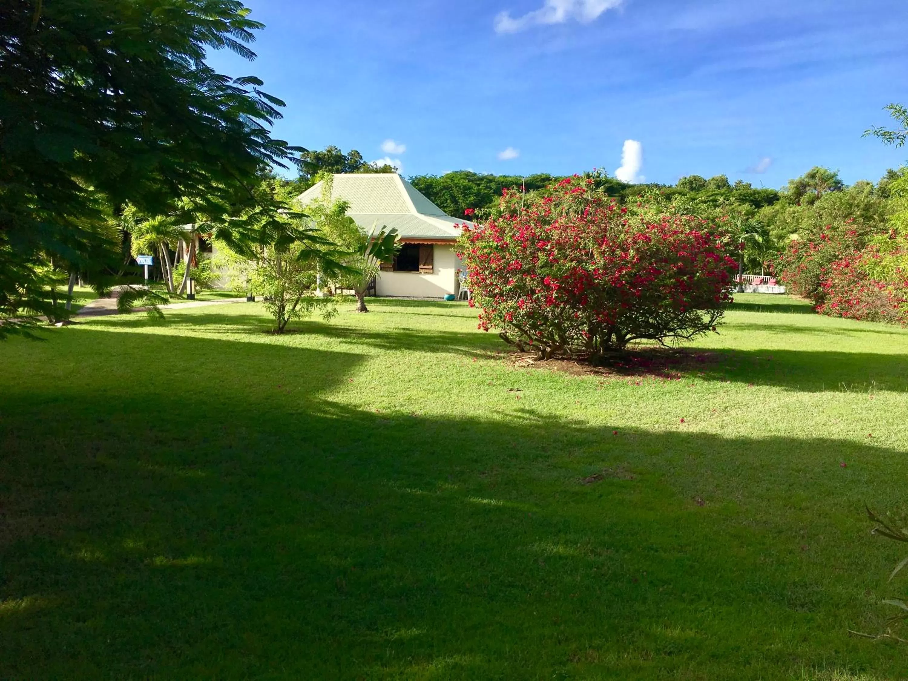 Communal lounge/ TV room in Résidence Le Vallon Guadeloupe Parc Piscine Appartements & Studios