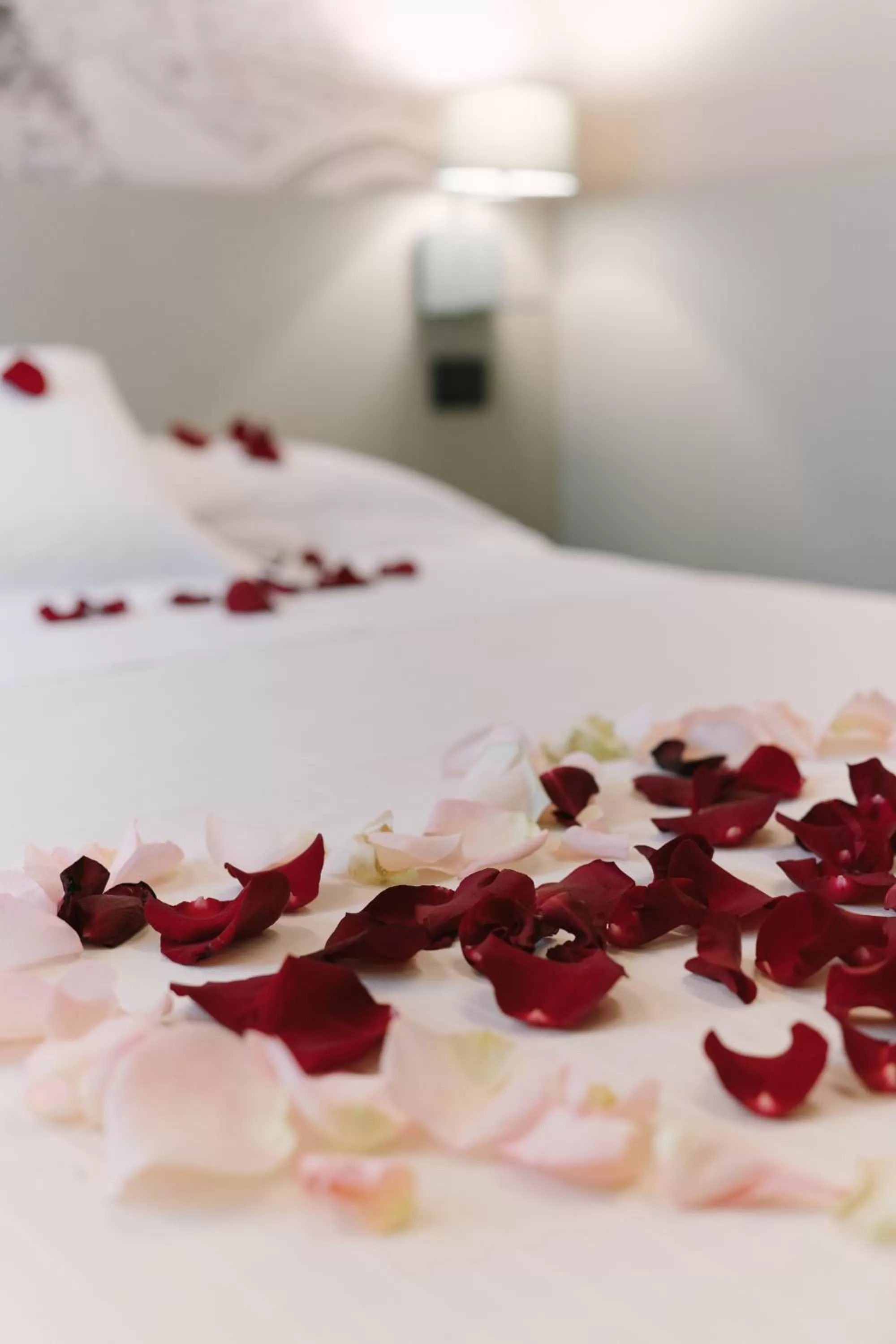 Other, Bed in Hotel Giulietta e Romeo ***S