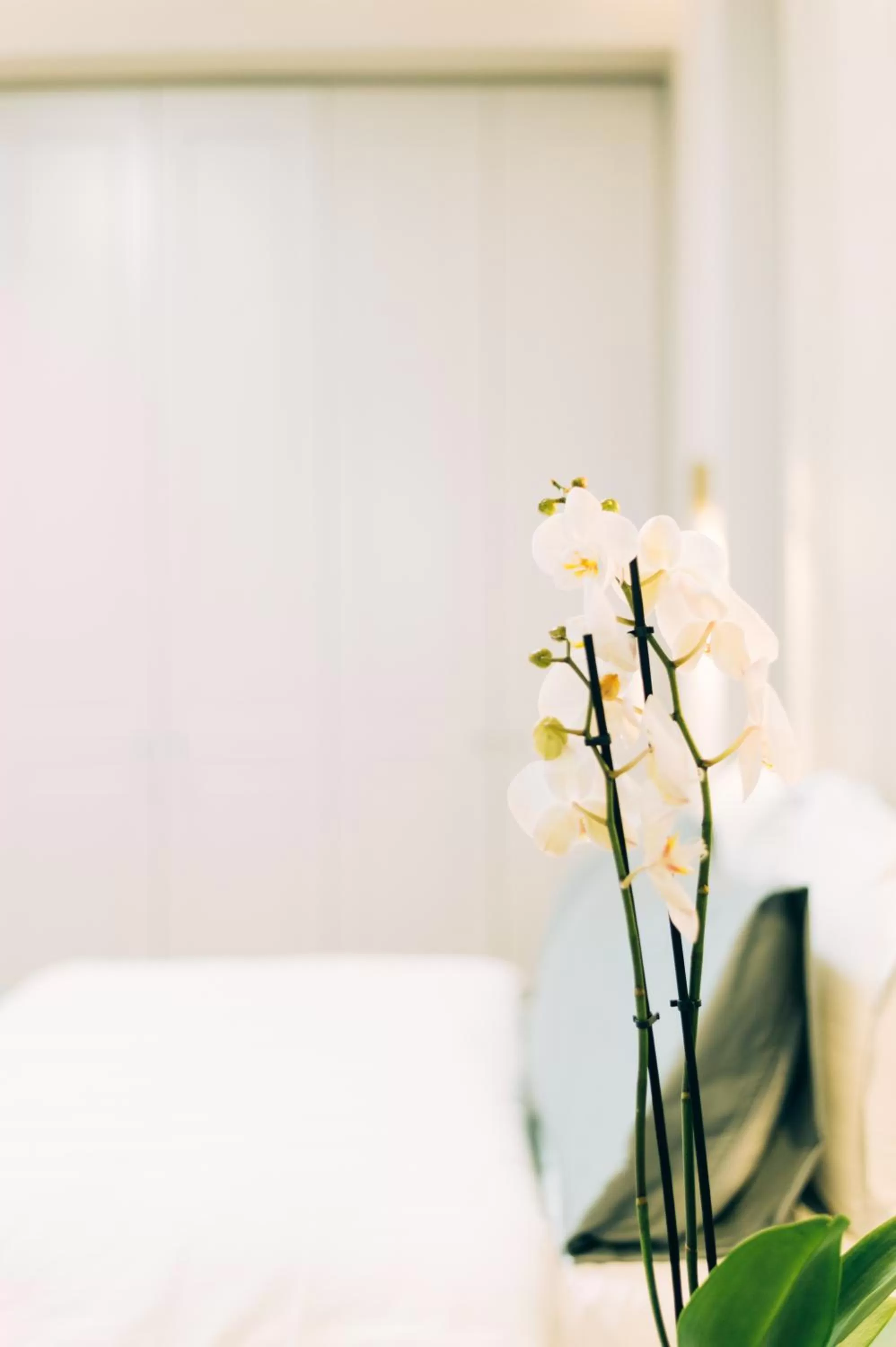 Decorative detail, Bed in Hotel Stela Center