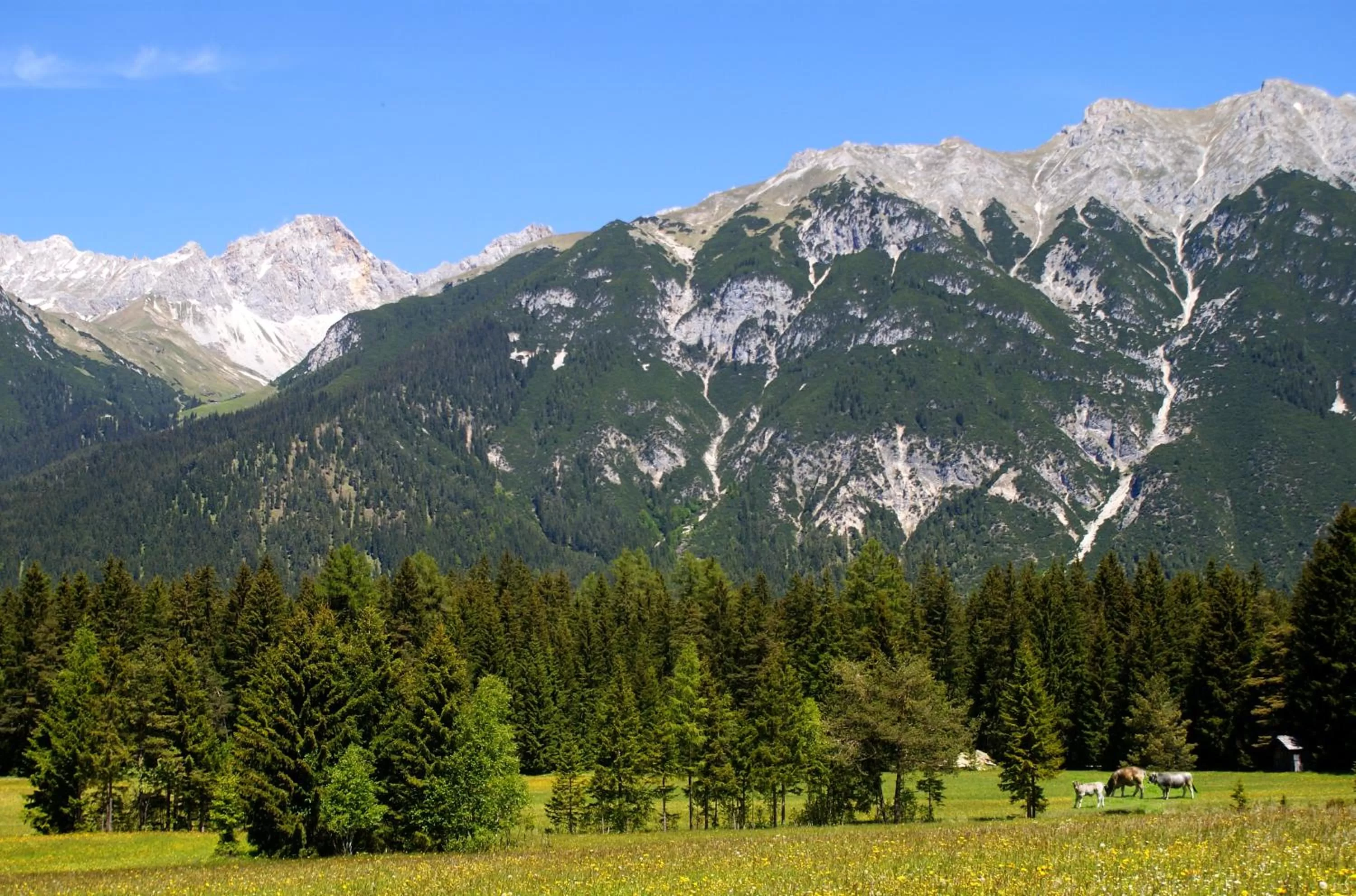 Summer, Natural Landscape in Sporthotel Xander